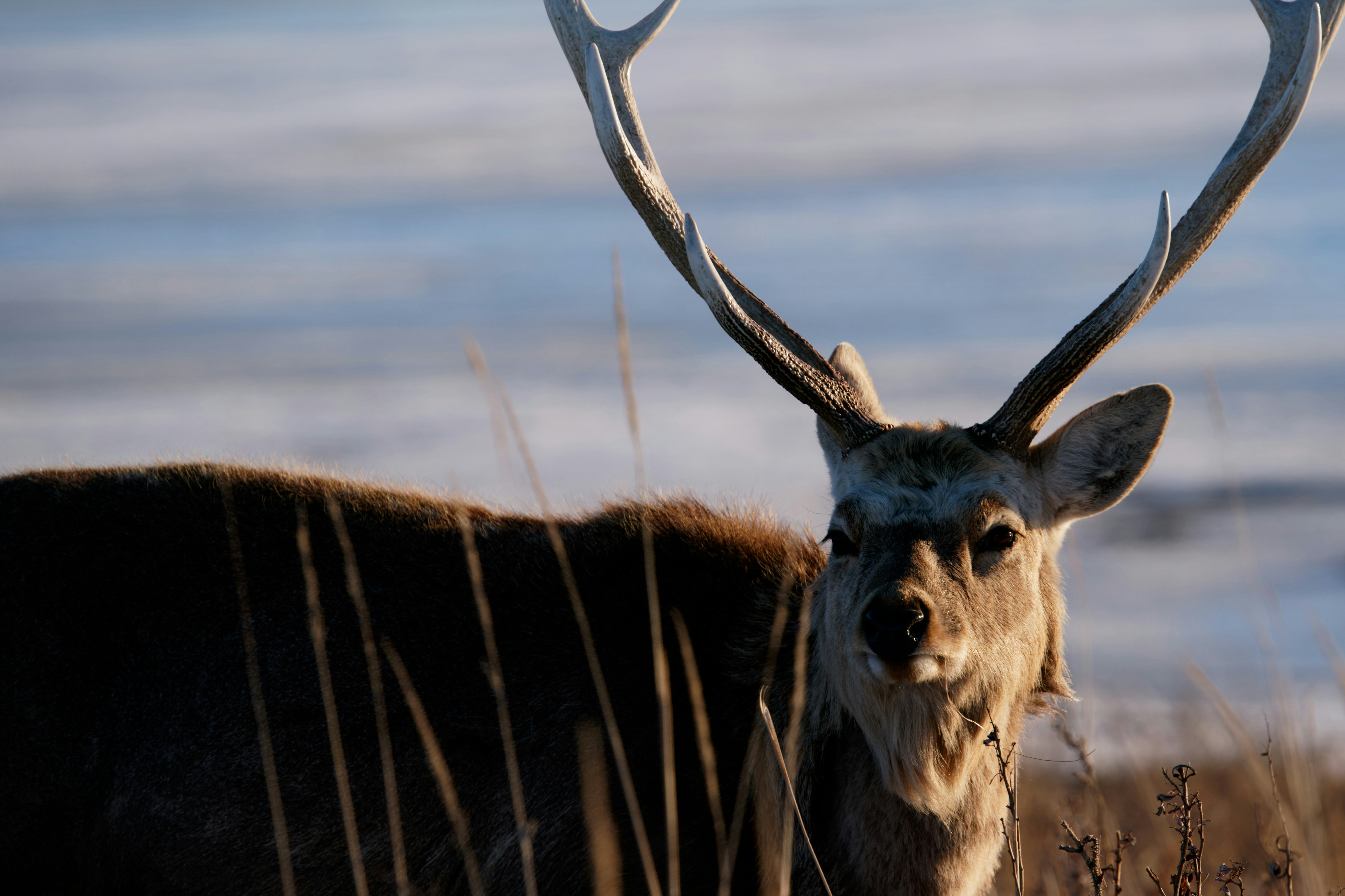 Photo by da_shika_photo