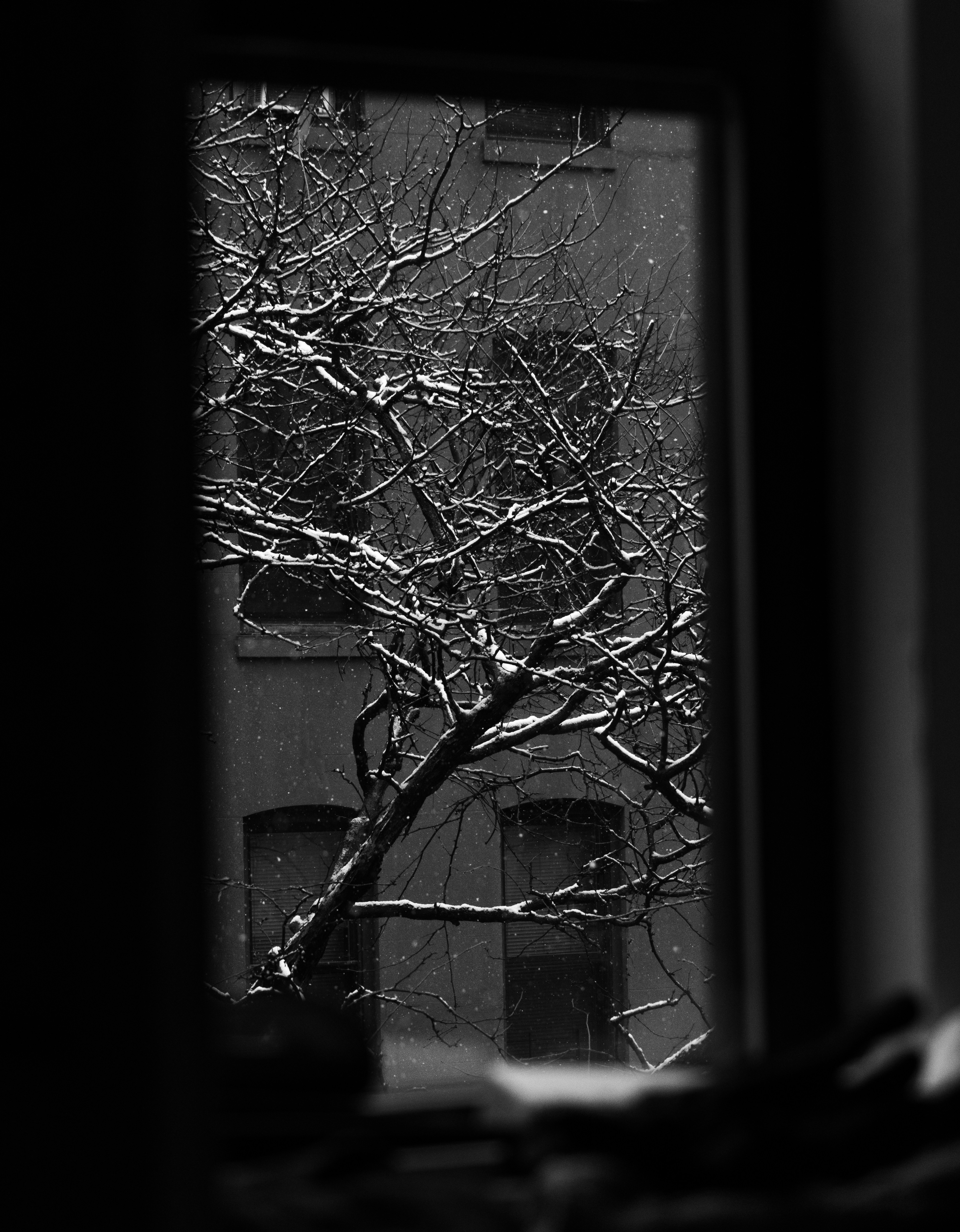 Photo by thierry_biland