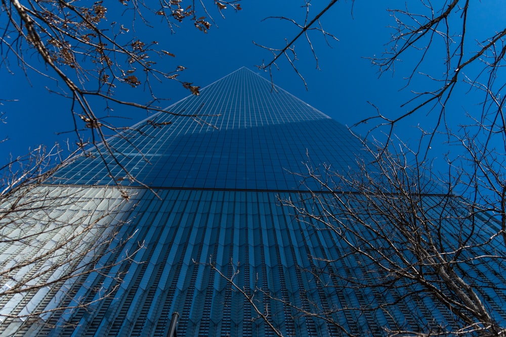 looking up at the top of a tall building