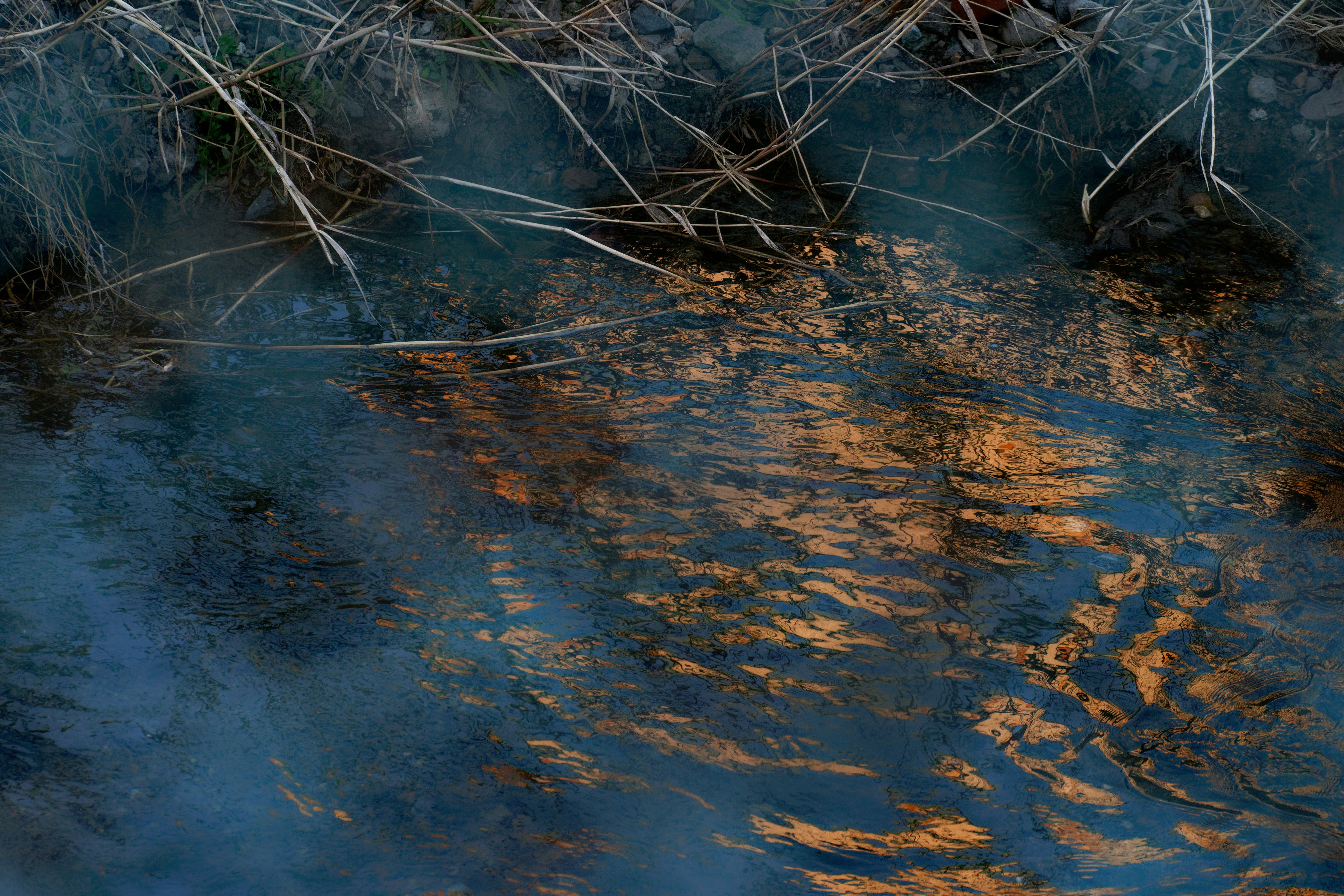 Photo by da_shika_photo