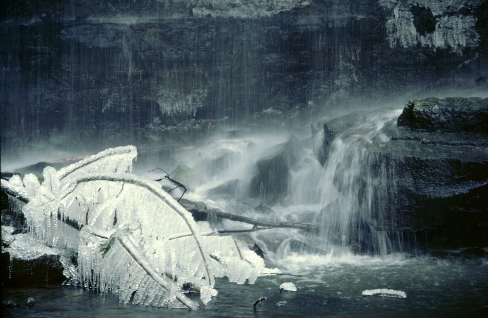 uma cachoeira congelada com um galho de árvore saindo dela