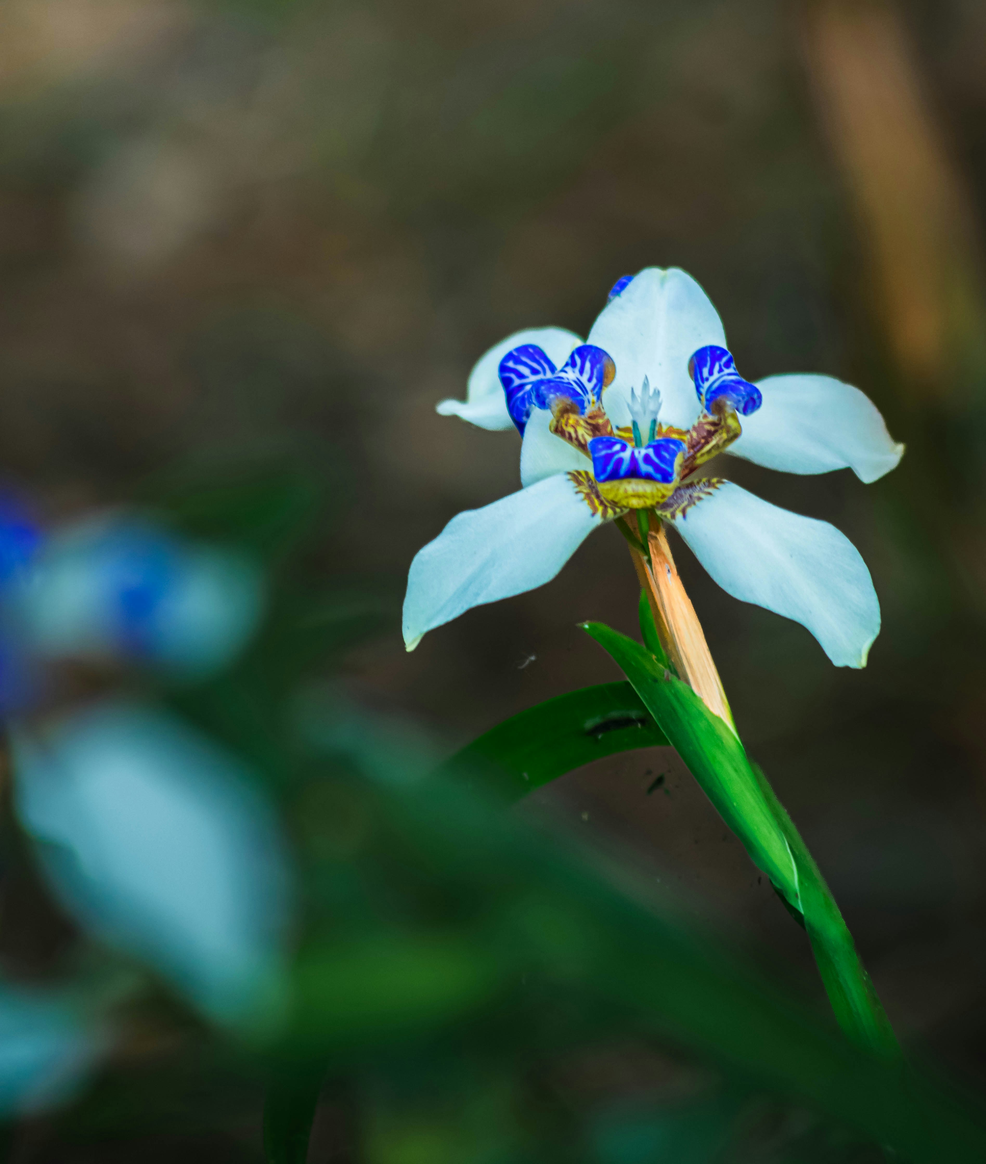 Photo by rlgraphicus