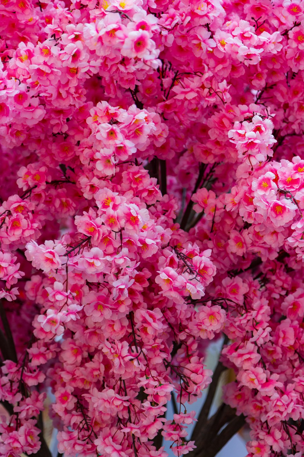 a bunch of pink flowers that are in a vase