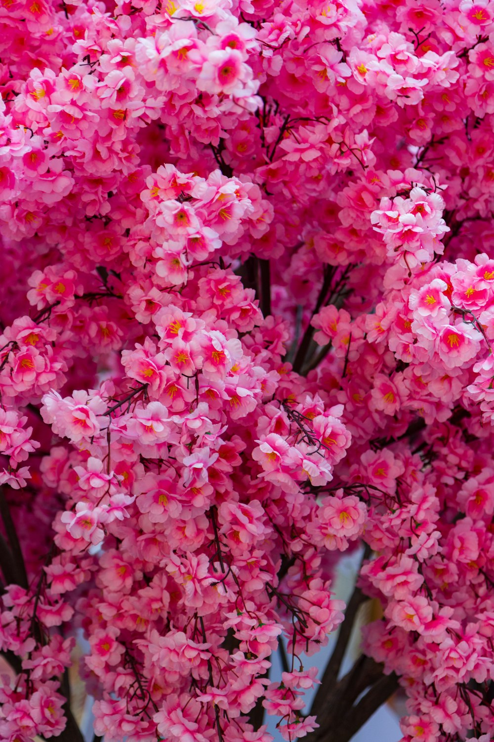 un ramo de flores rosas que están en un jarrón