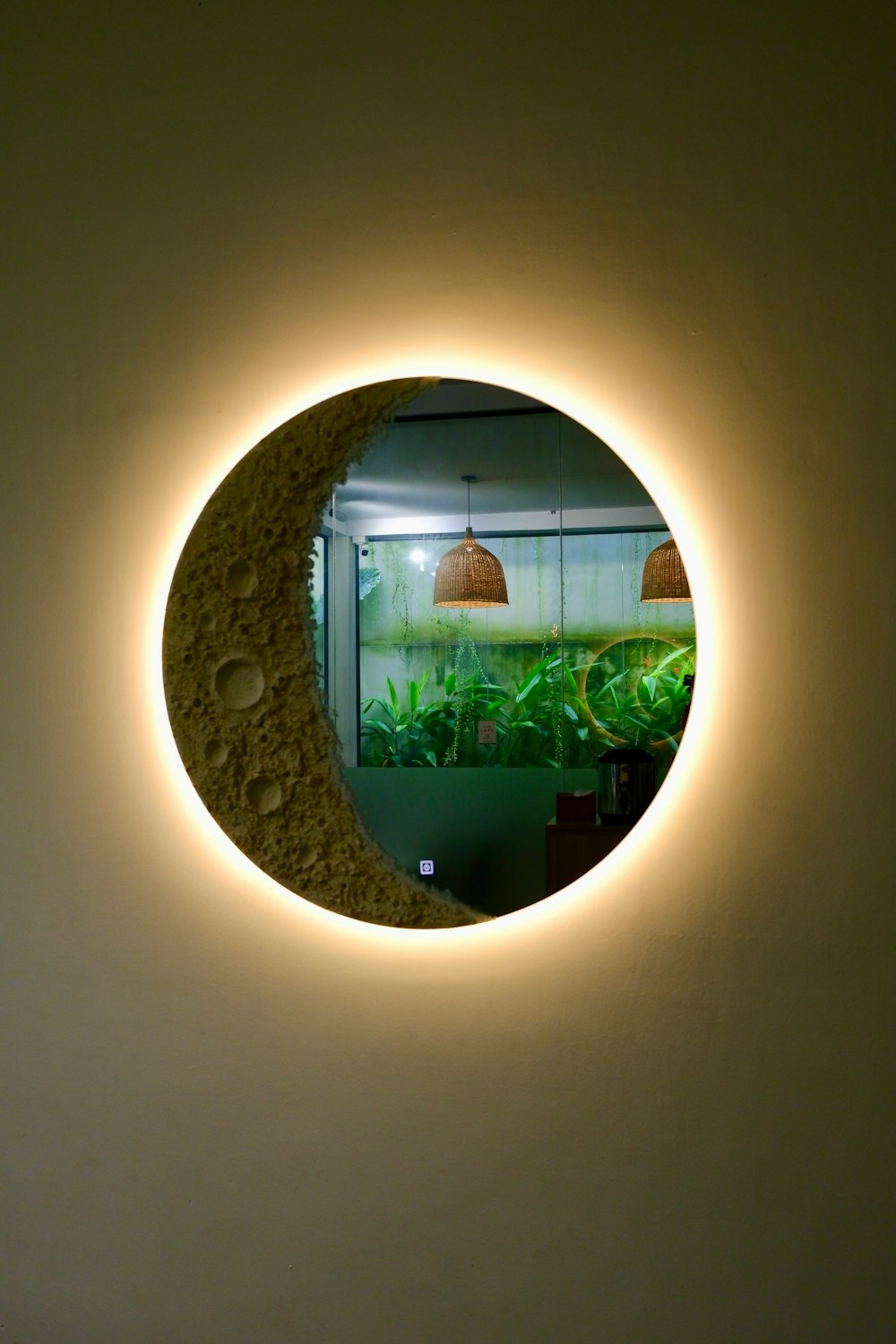 a circular mirror reflecting a fish in a tank