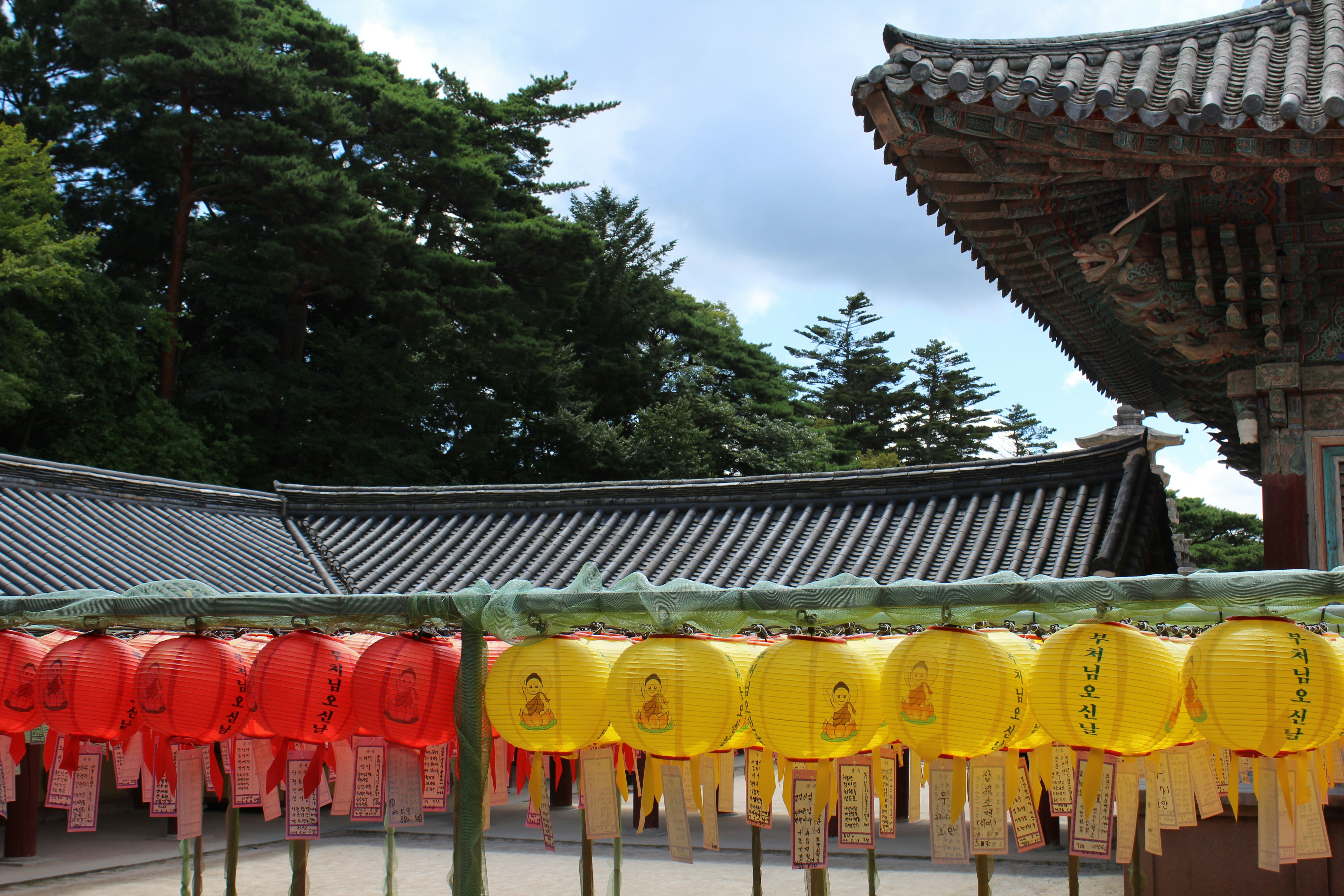 Han play ground