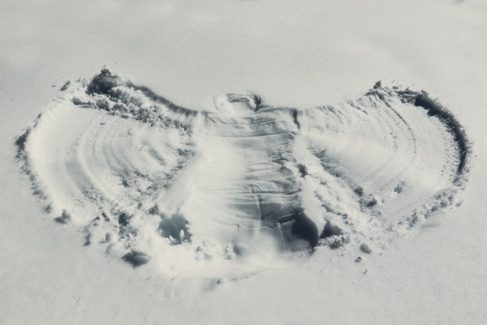 a snow covered area with a large amount of snow