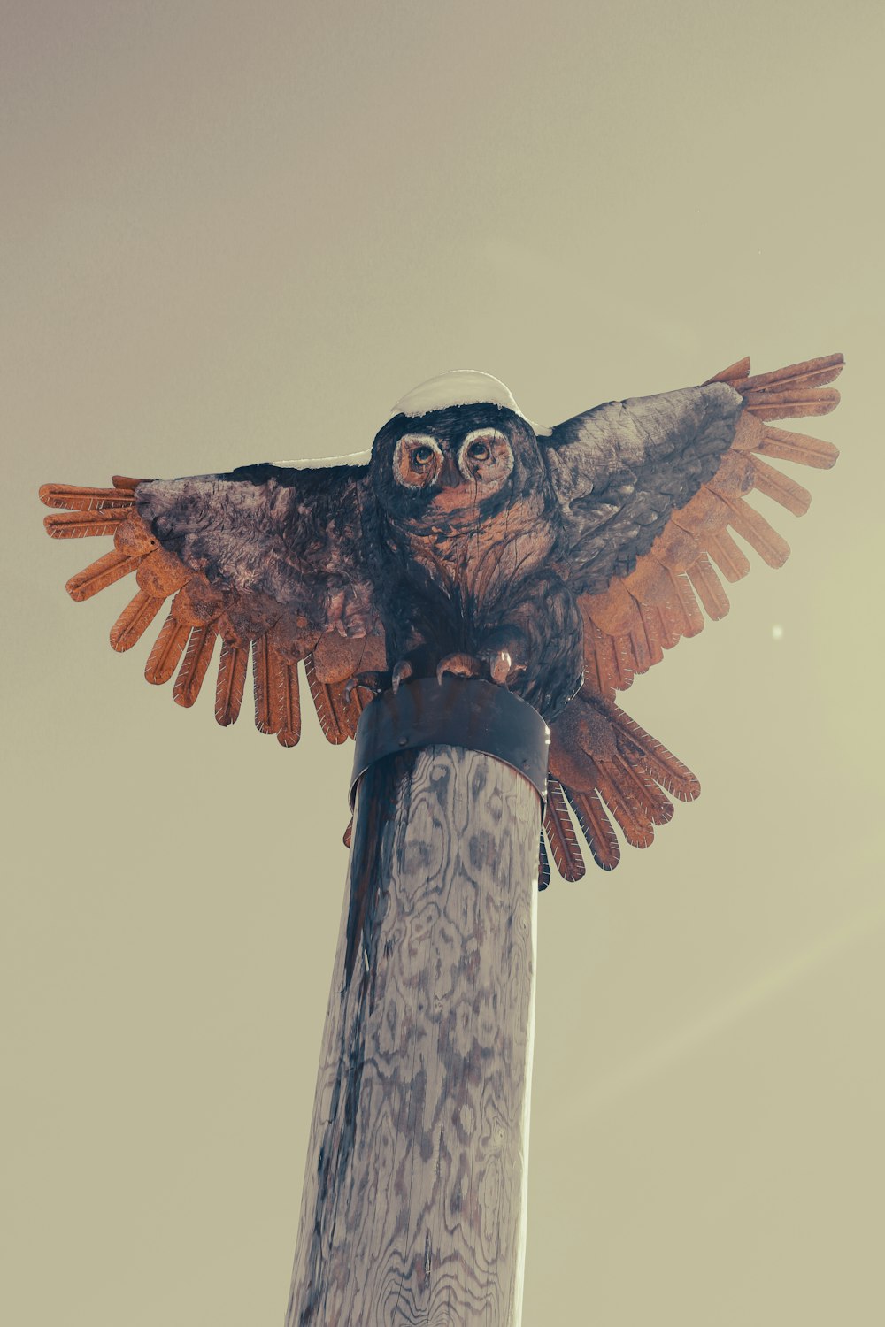 an owl perched on top of a wooden pole