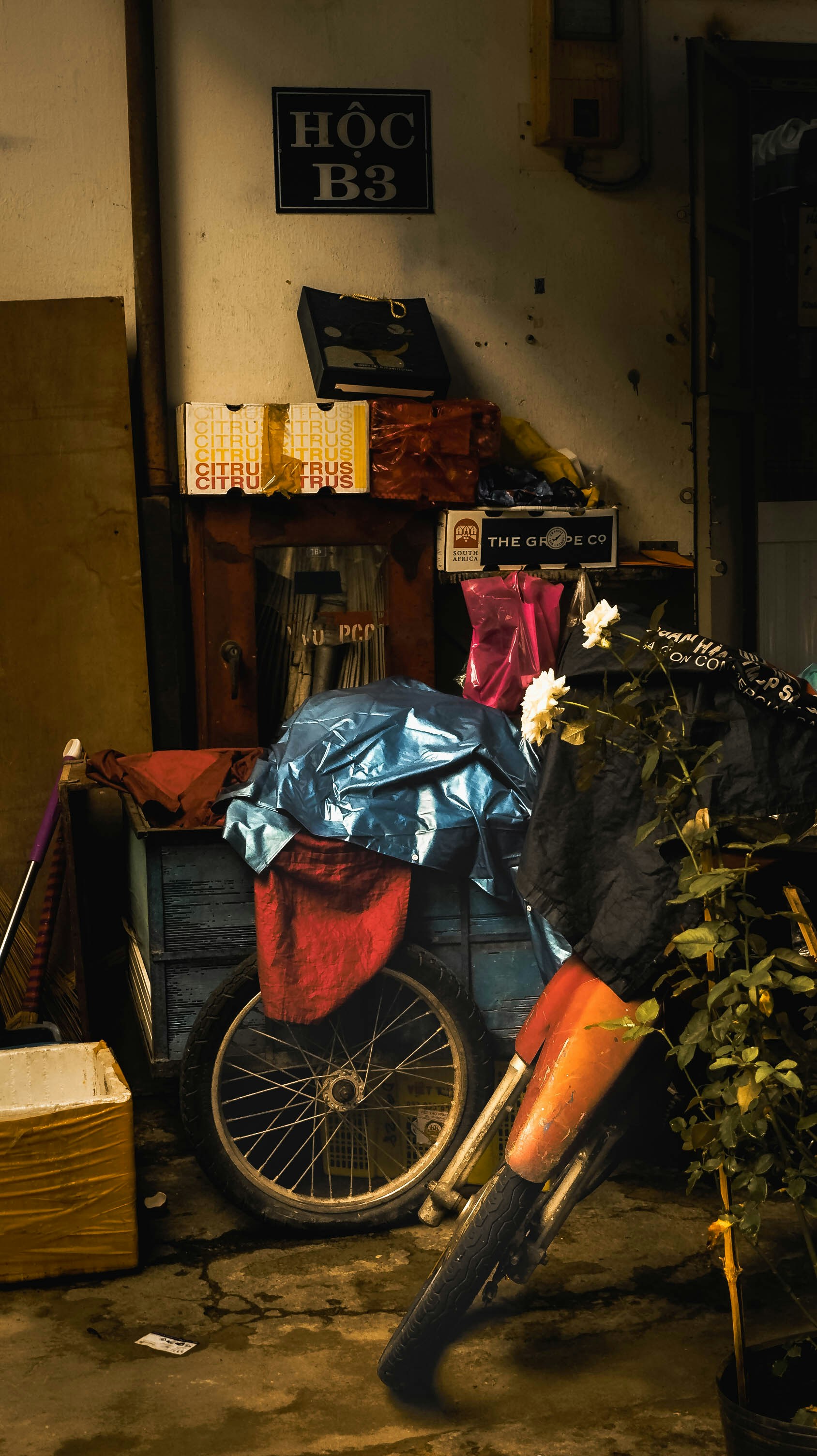 a bicycle parked next to a flower pot