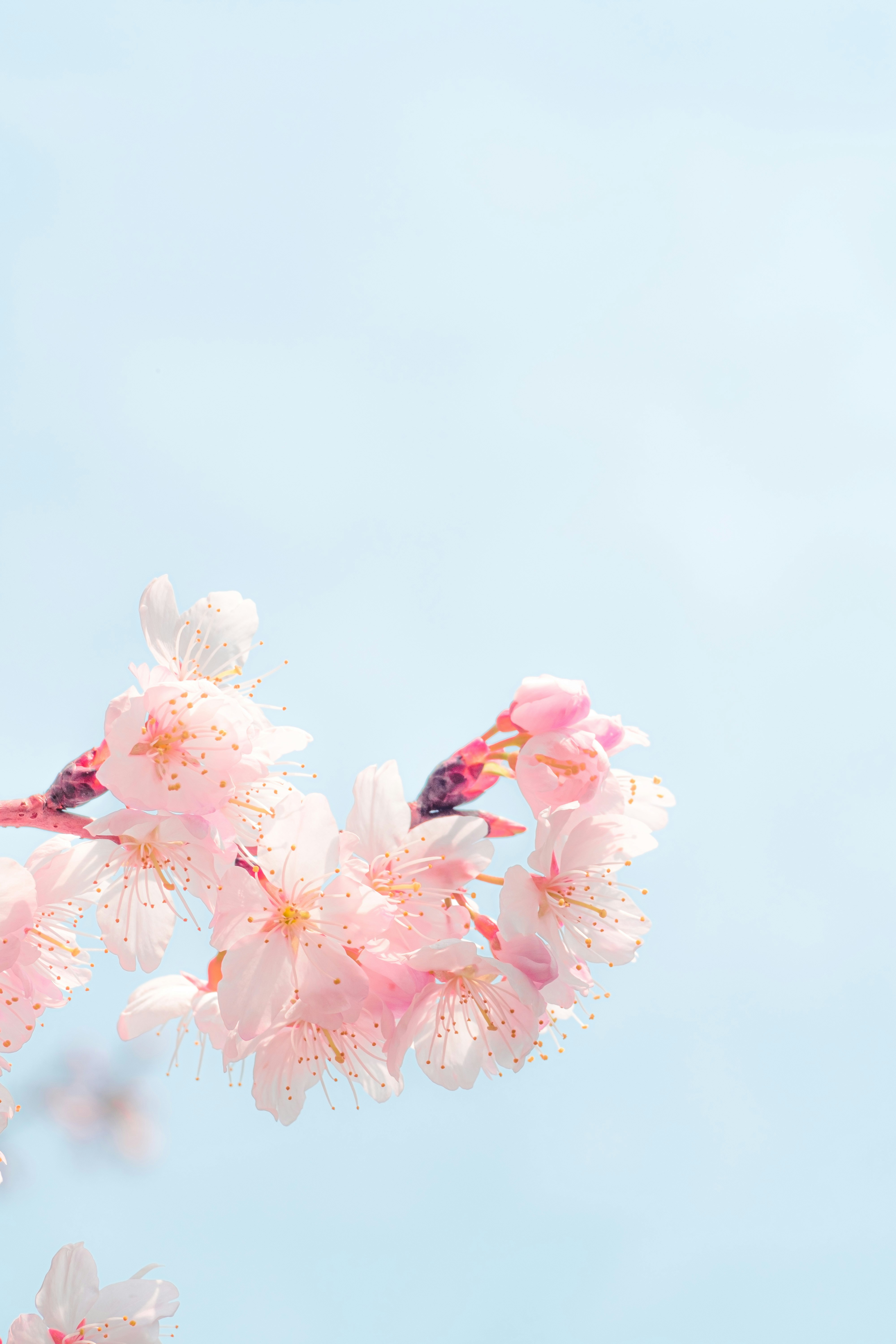 Photo by xiexianghua