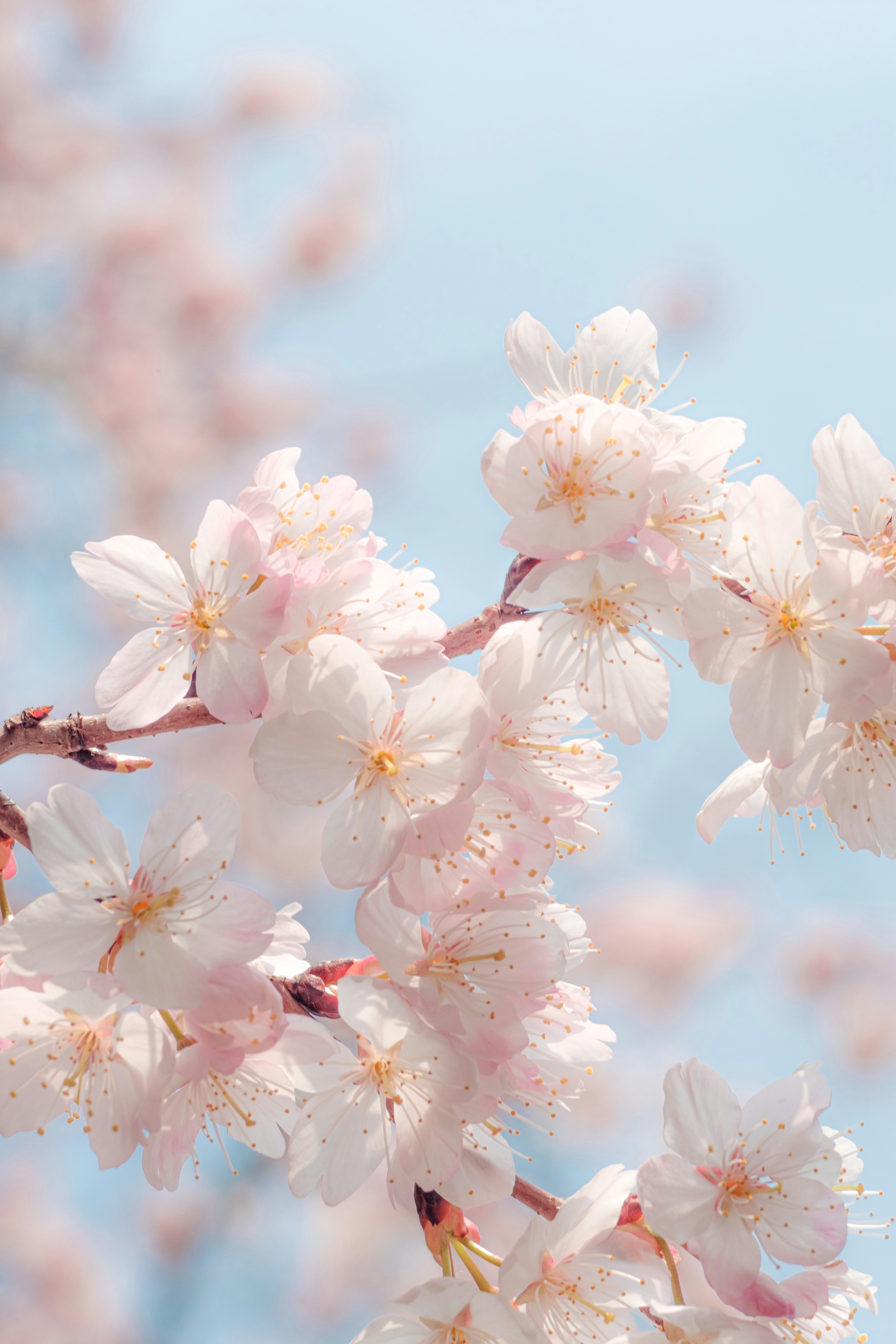 Photo by xiexianghua