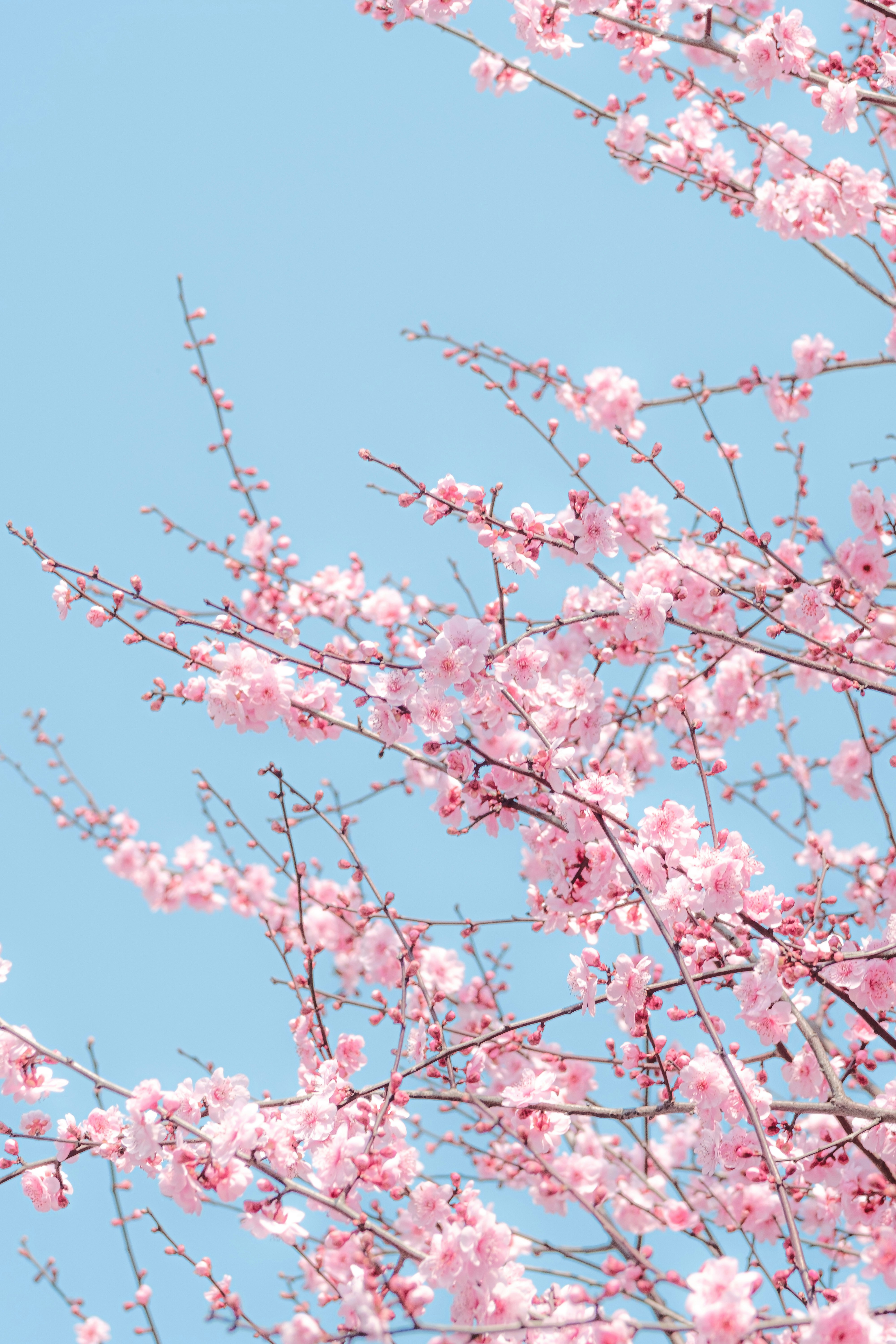 Photo by xiexianghua