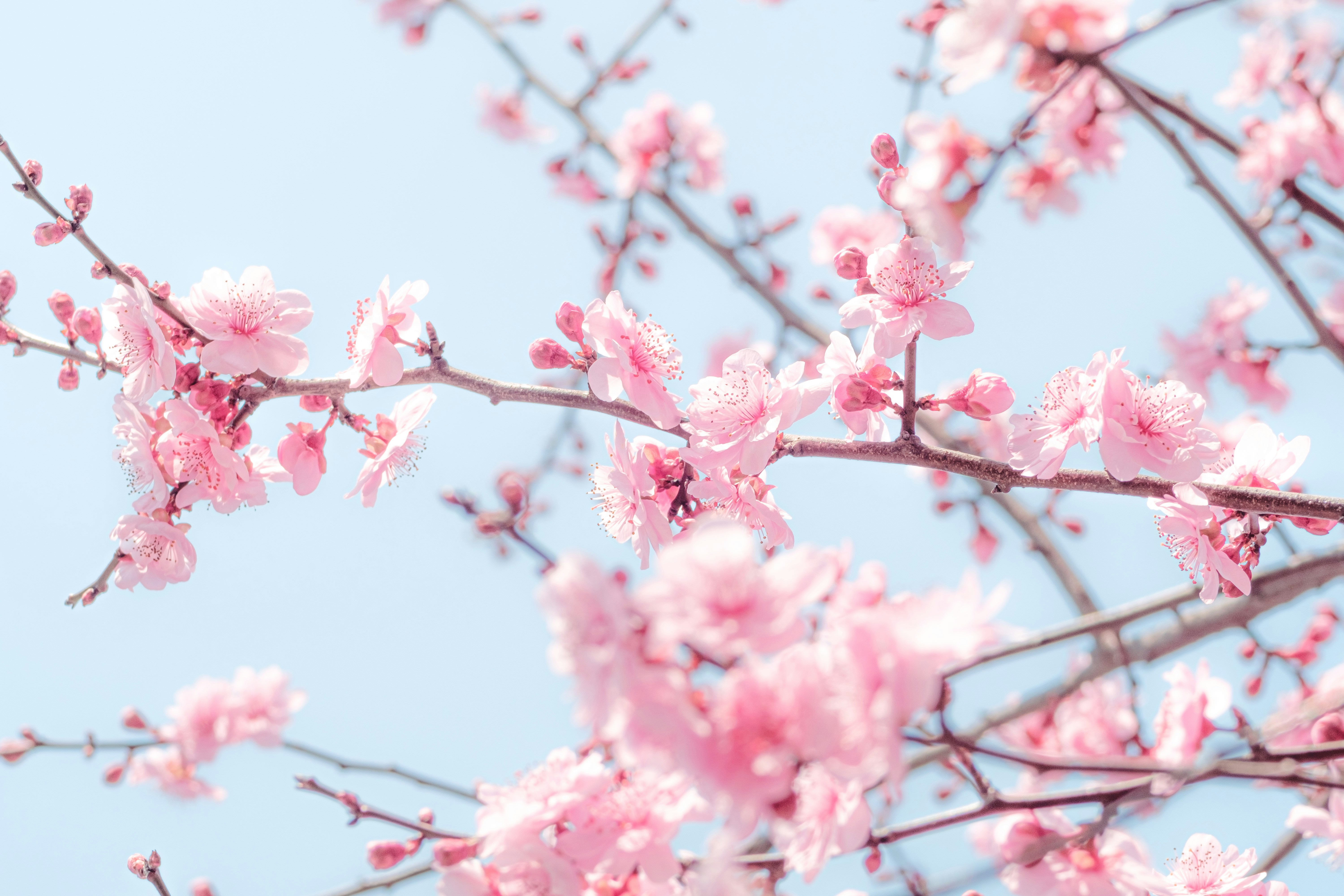 Photo by xiexianghua