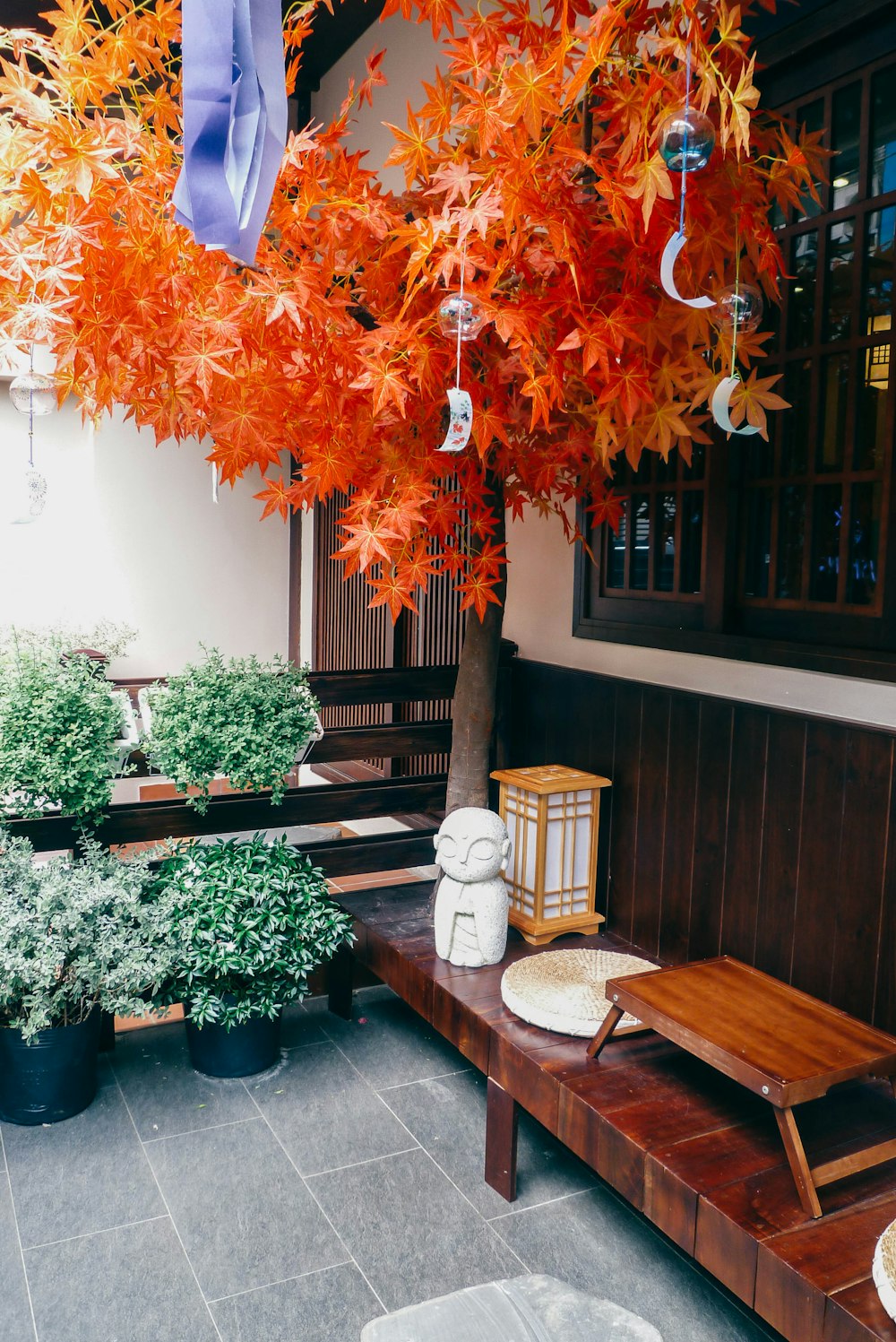 una panca di legno seduta sotto un albero pieno di foglie d'arancio