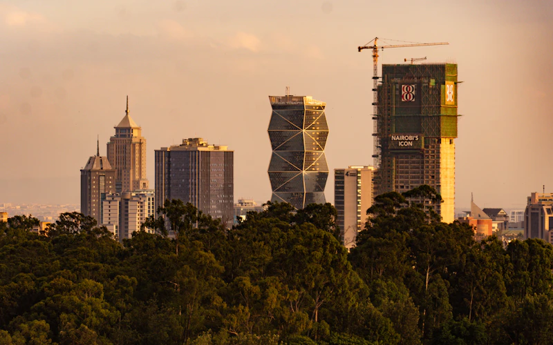 Growing Your Wealth at Home: A Guide for the Kenyan Diaspora