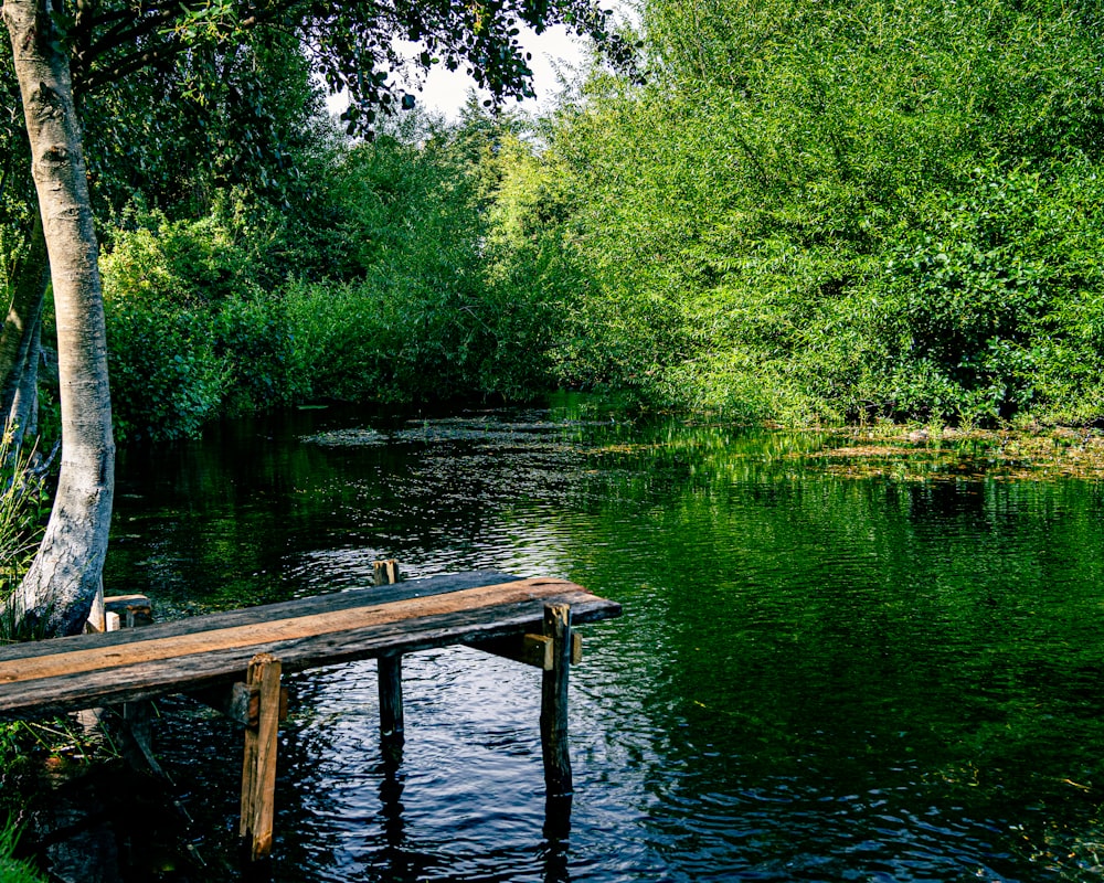 a wooden bench sitting on the side of a river