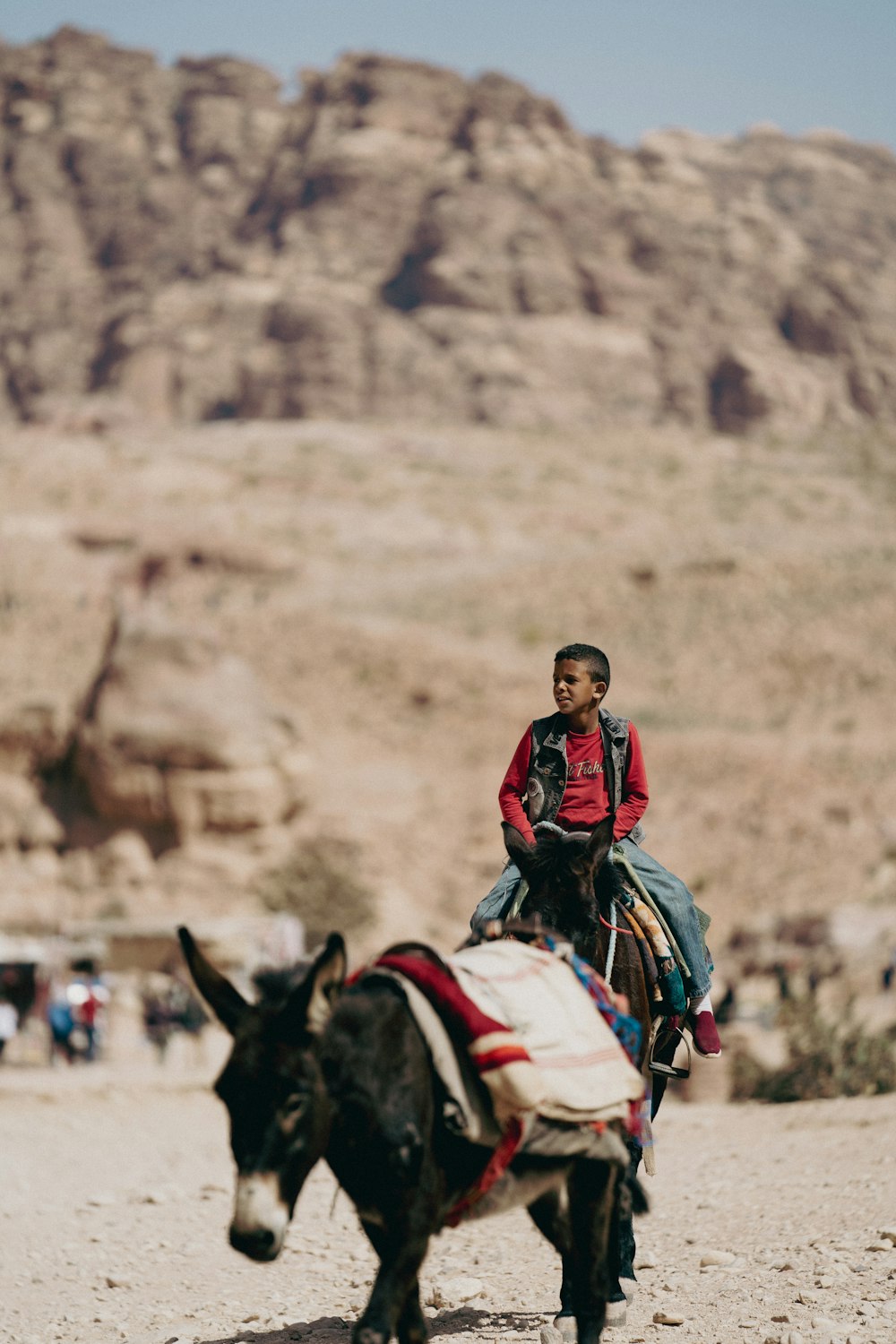 a young boy riding a donkey in the desert