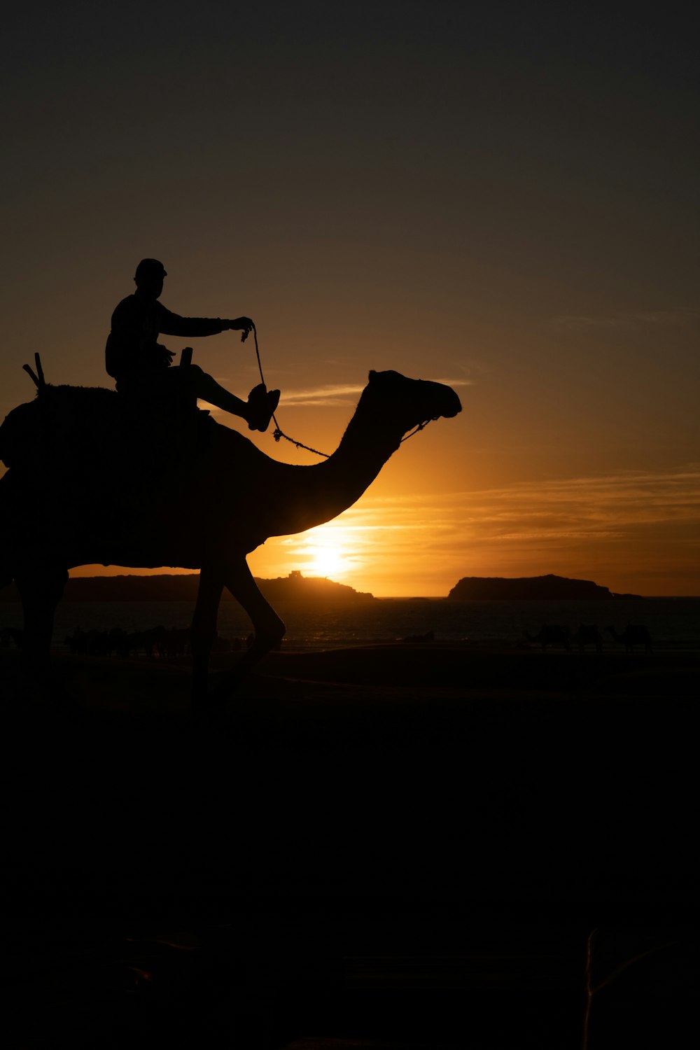 a man riding on the back of a camel