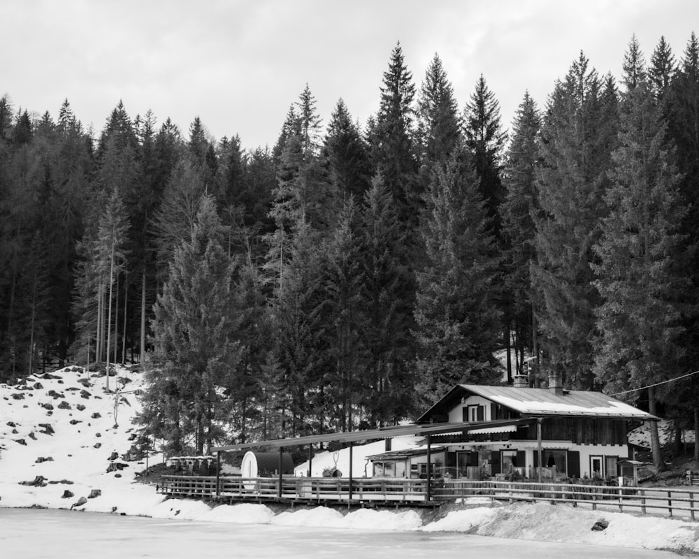 a black and white photo of a cabin in the woods