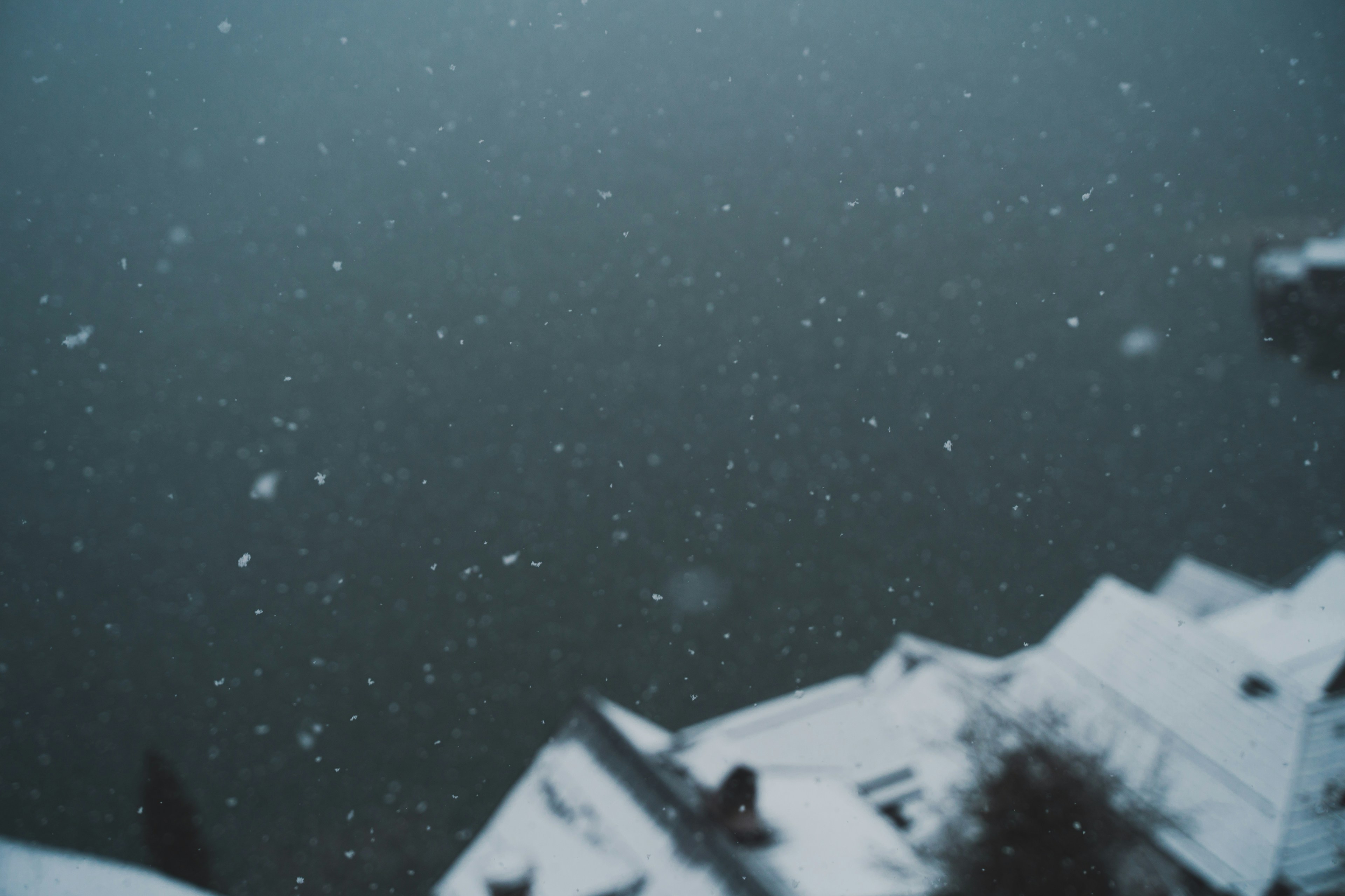 Photo by kirsten_frank