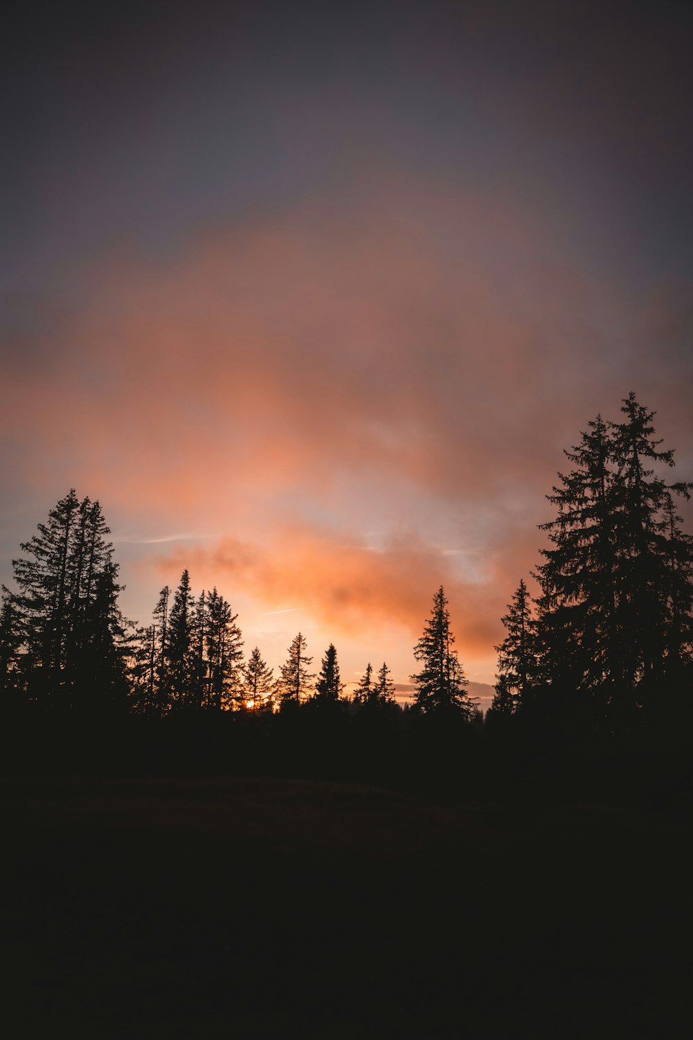 the sun is setting over the trees in the forest