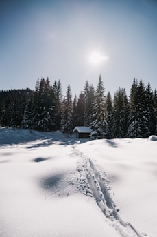 warm winter places