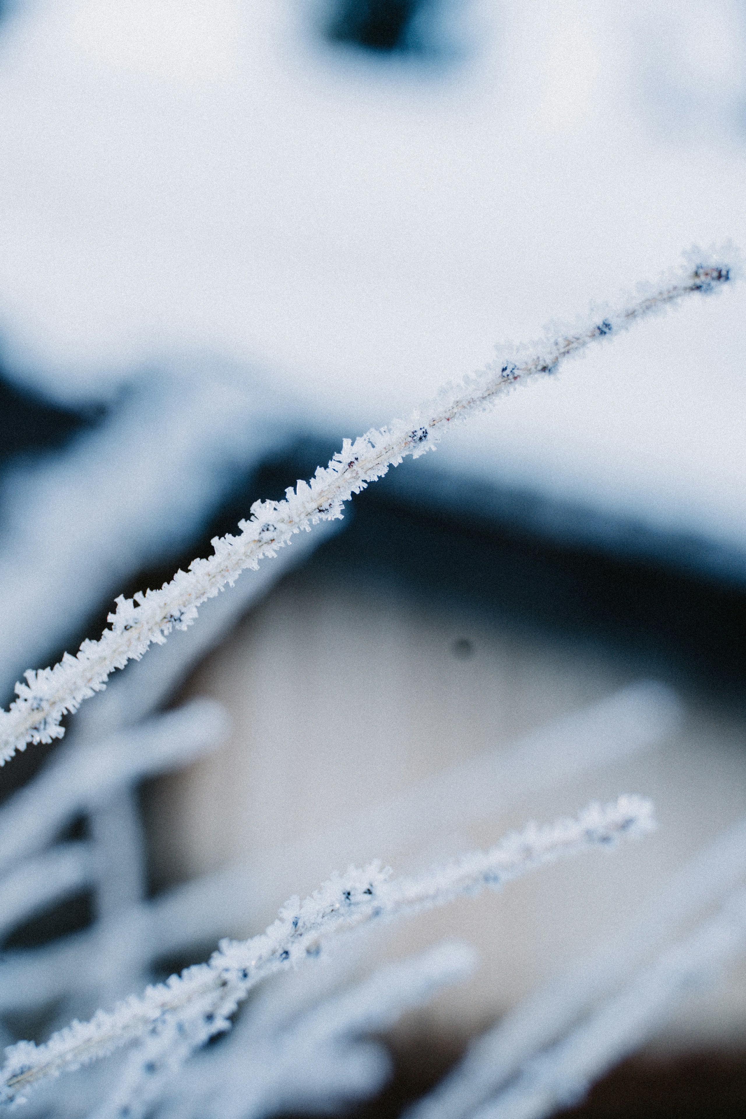 Photo by kirsten_frank