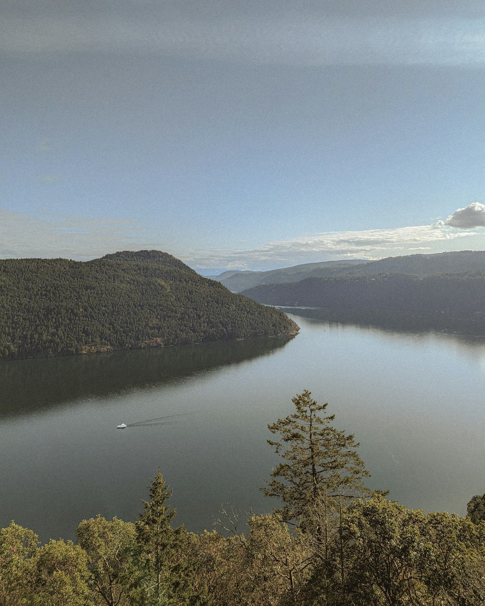 a large body of water surrounded by trees