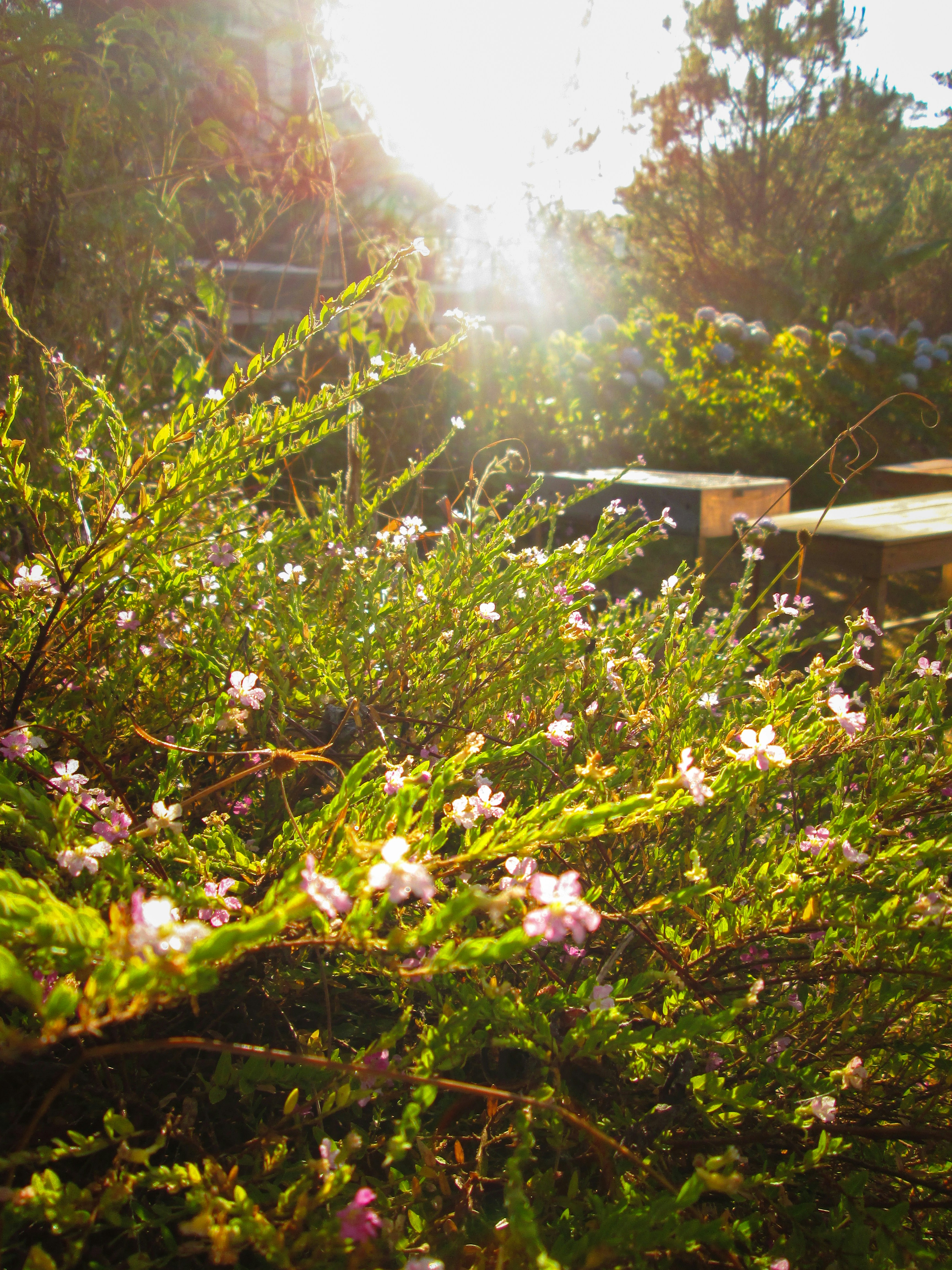 Photo by khoinguyennguyen