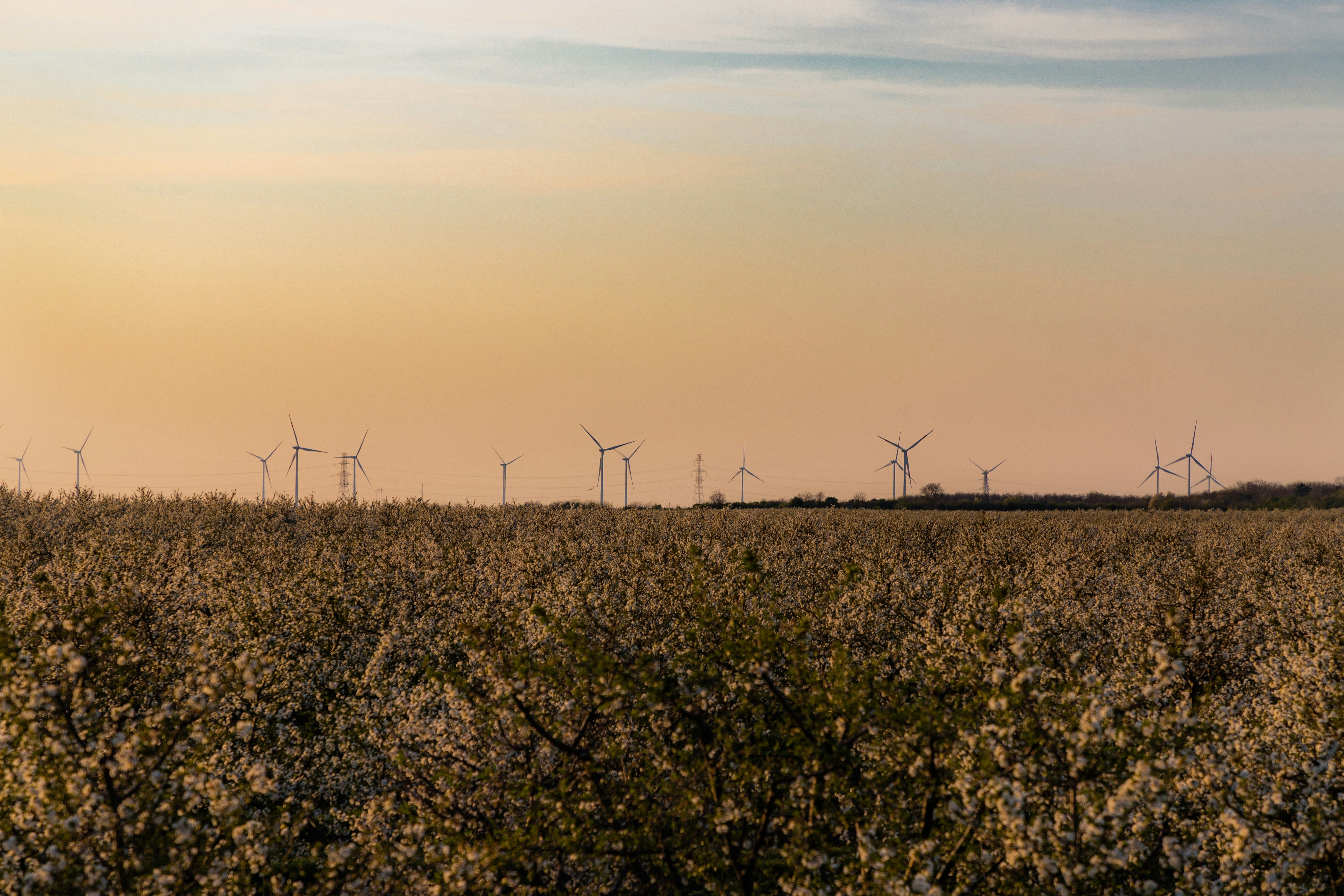 Photo by jovanvasiljevic