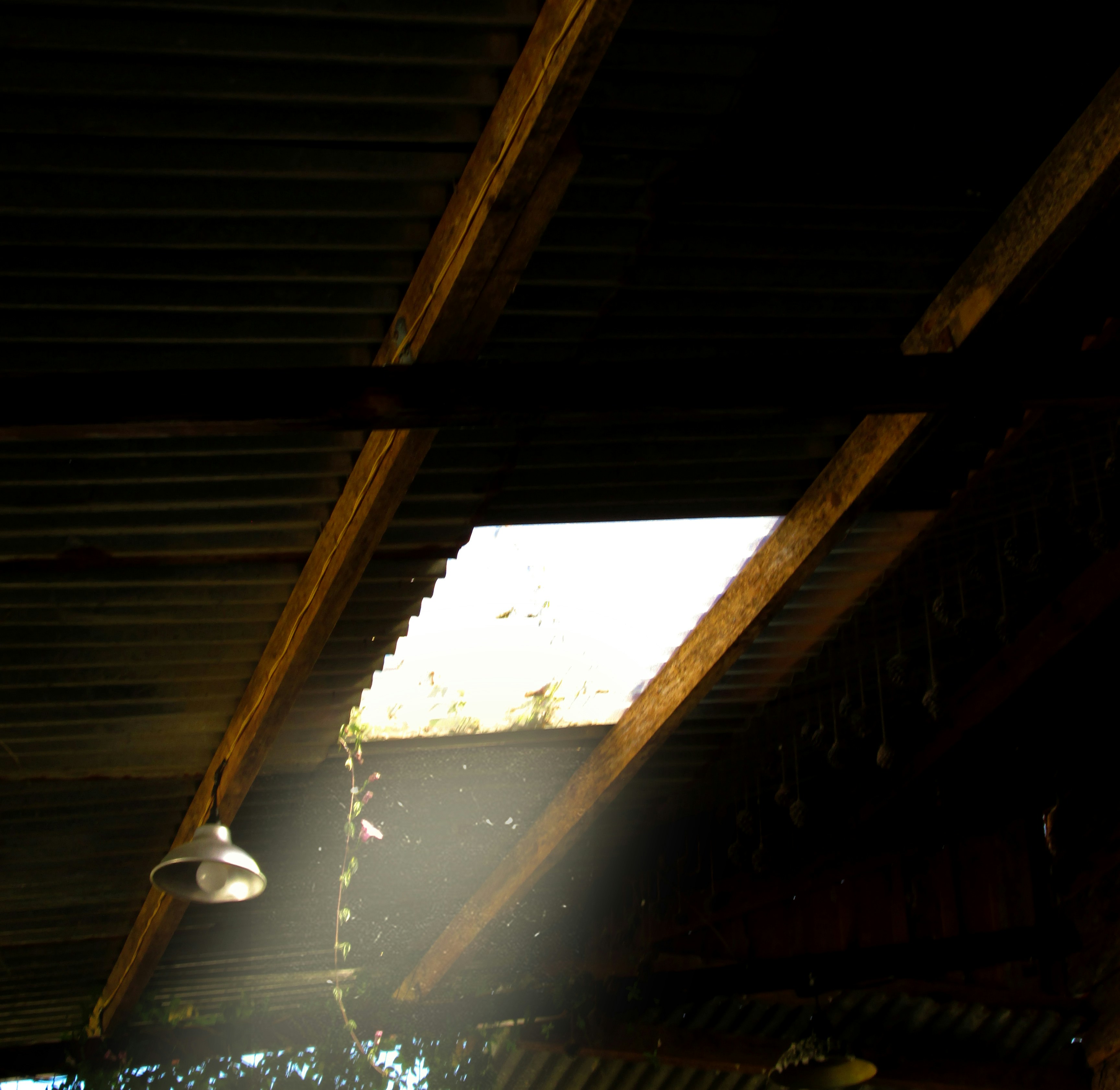 Bugün öğrendim ki: Dundee veya Dundee United...