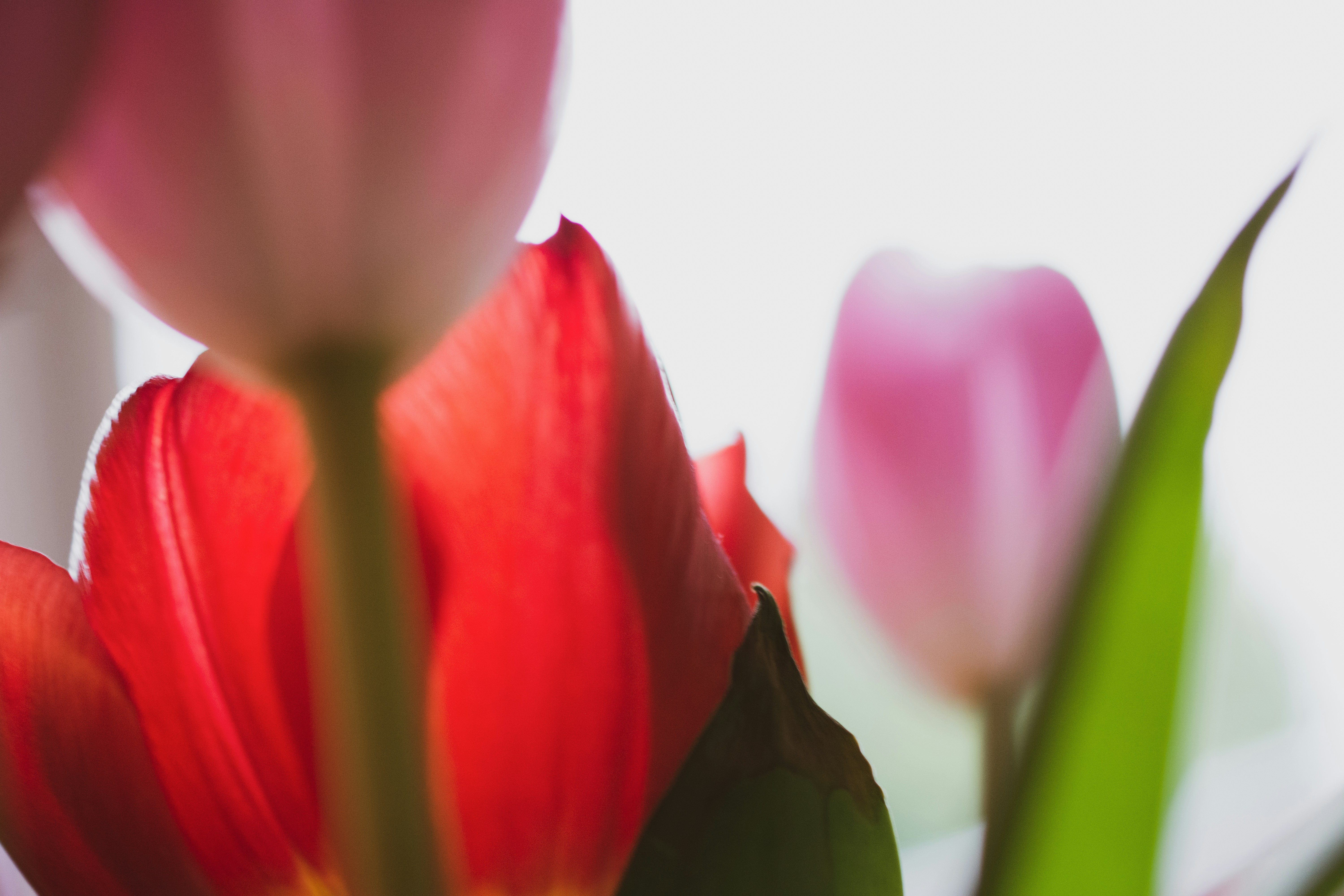 Photo by j_alliban_3000