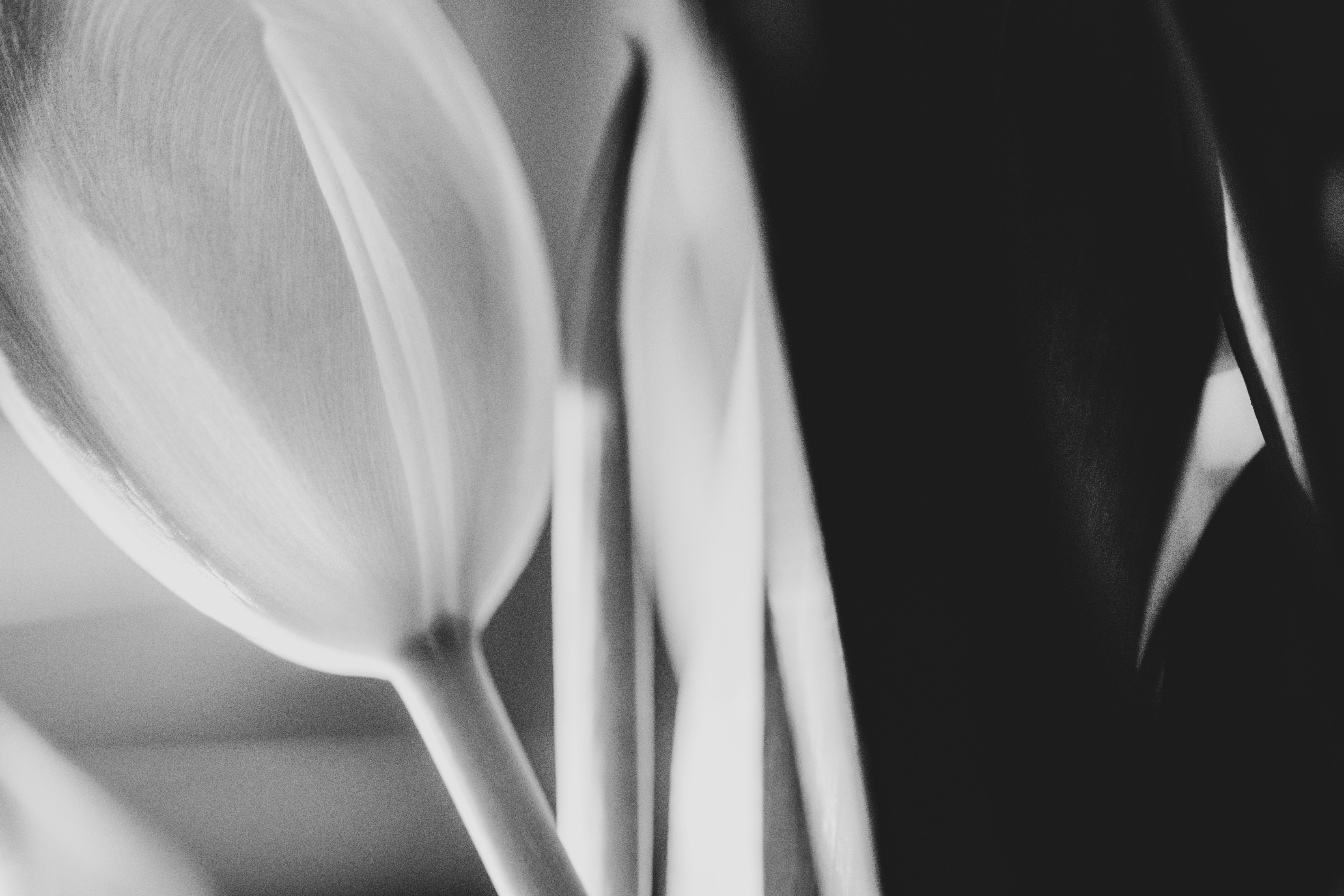 Photo by j_alliban_3000