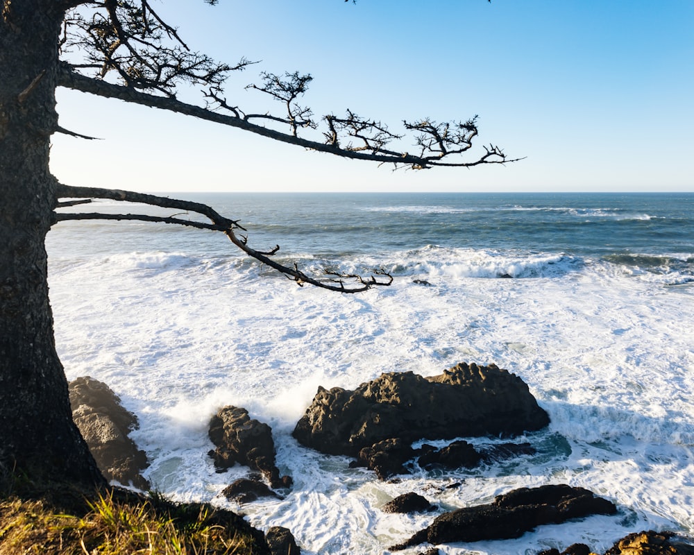 a view of the ocean from a rocky shore