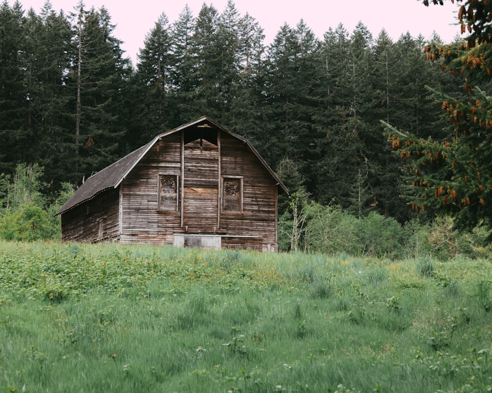 eine alte Scheune auf einem Feld mit Bäumen im Hintergrund