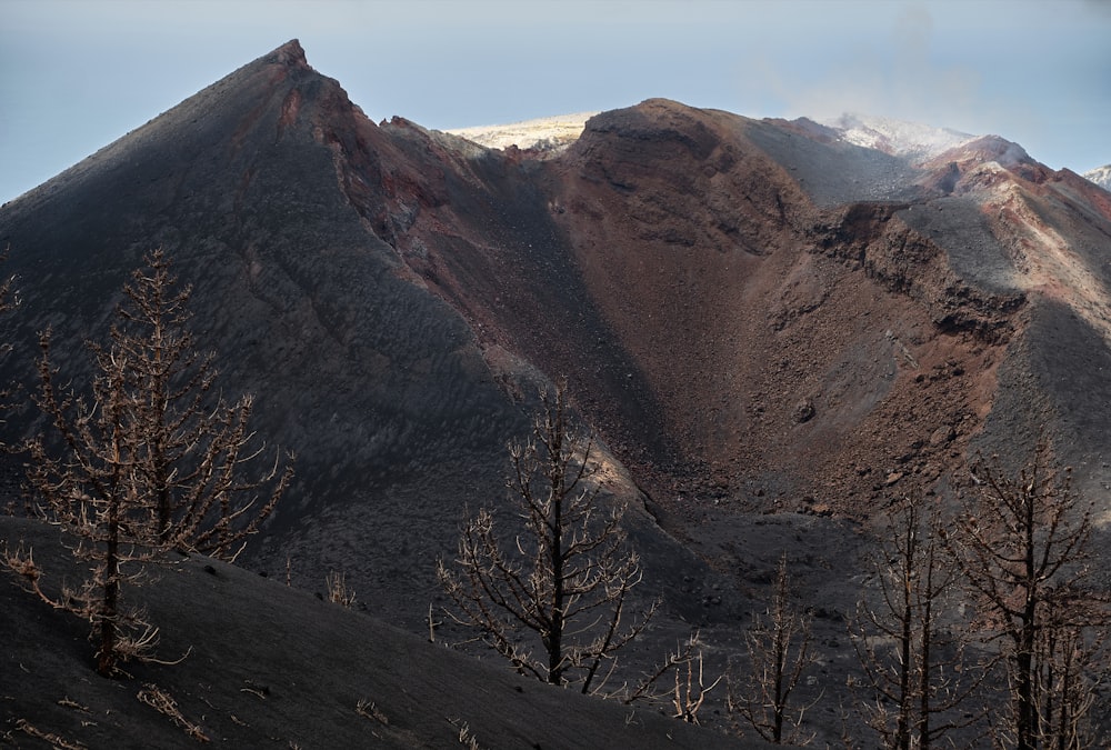 a view of a mountain range with trees in the foreground