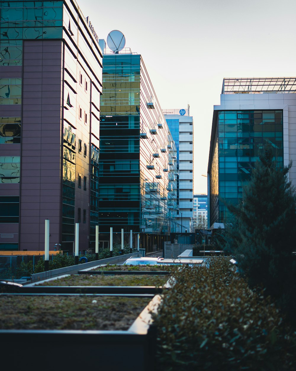 a row of buildings in a city with a green roof