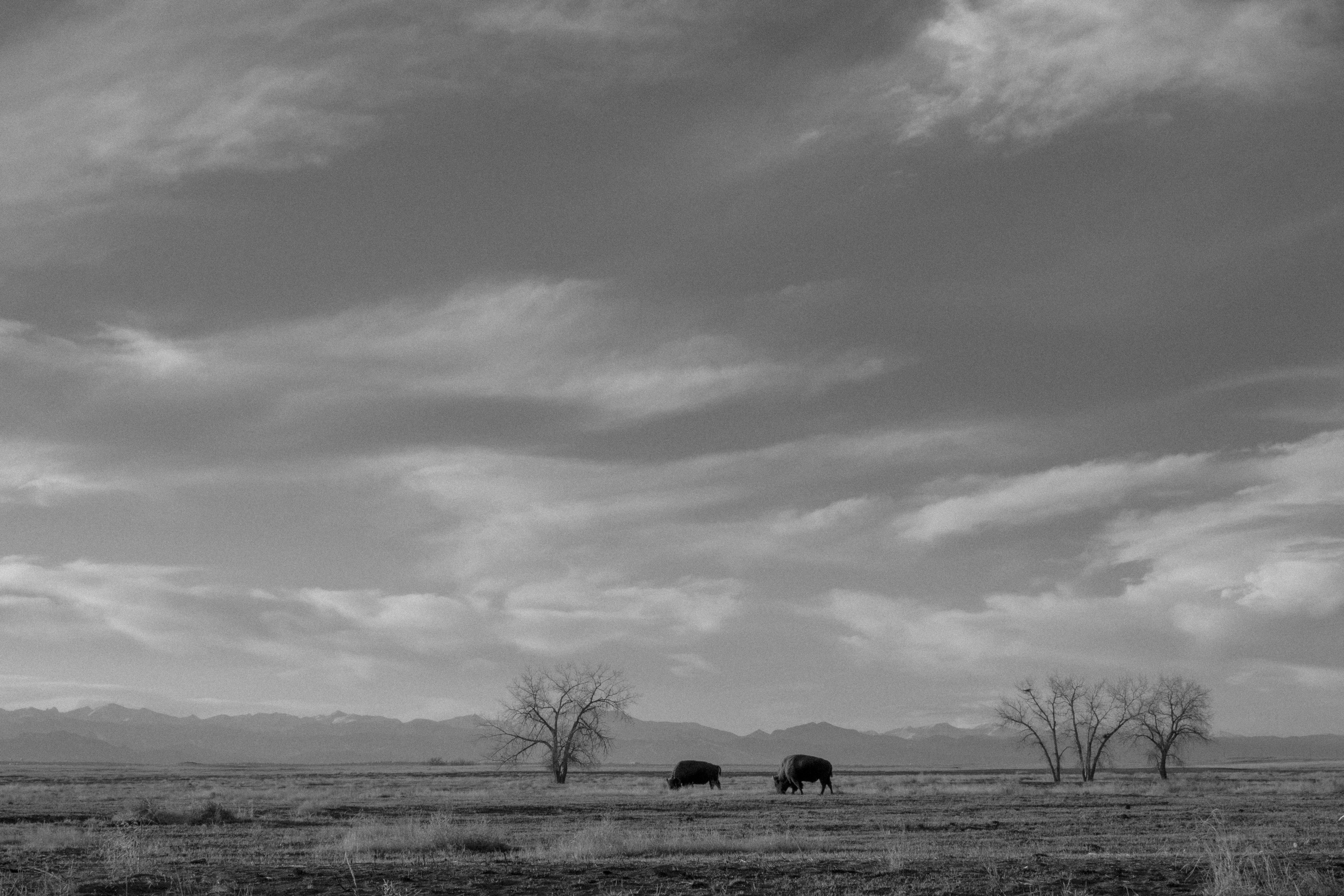 Photo by brandonstoll