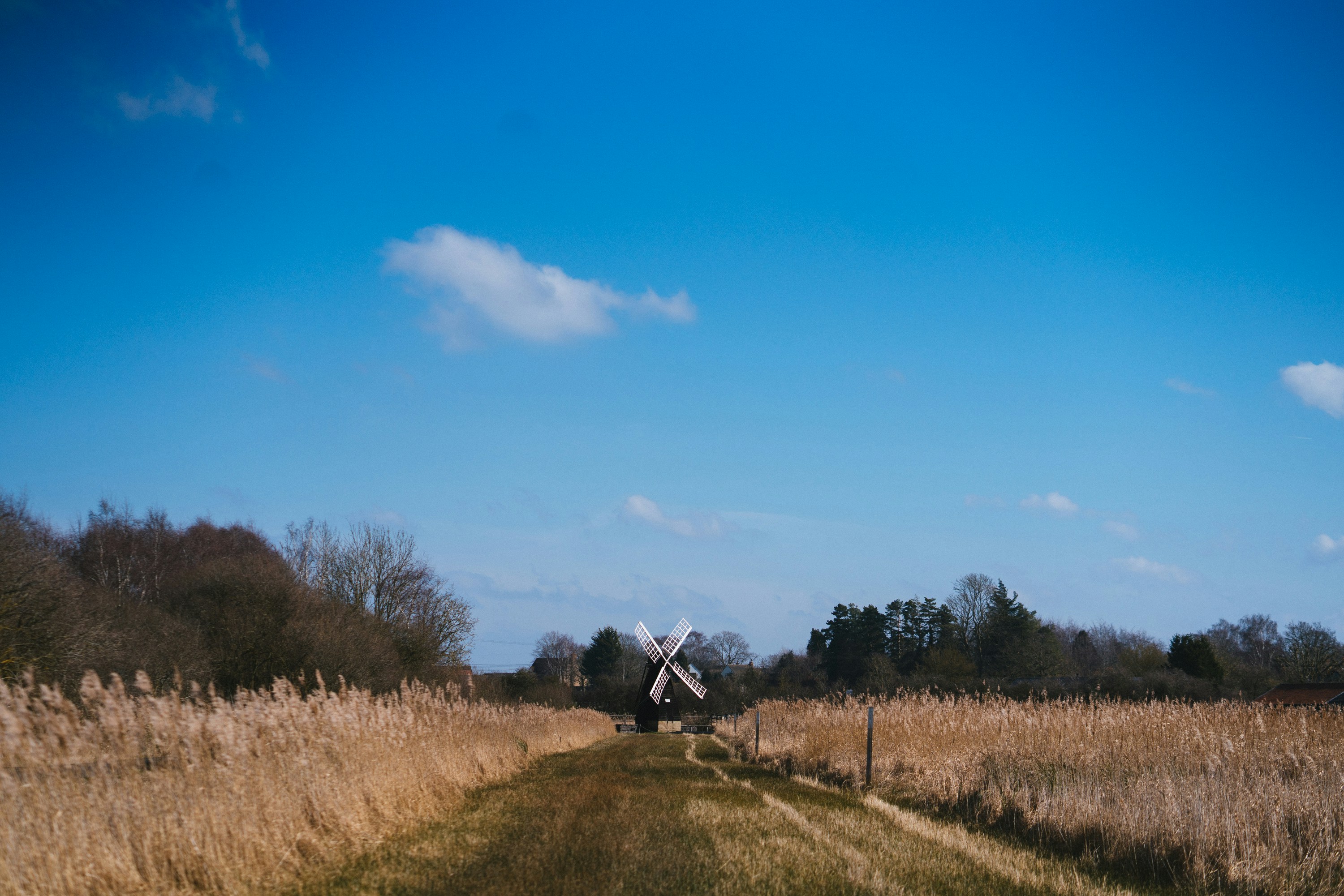 The Fens: England's Drowned Uncanny