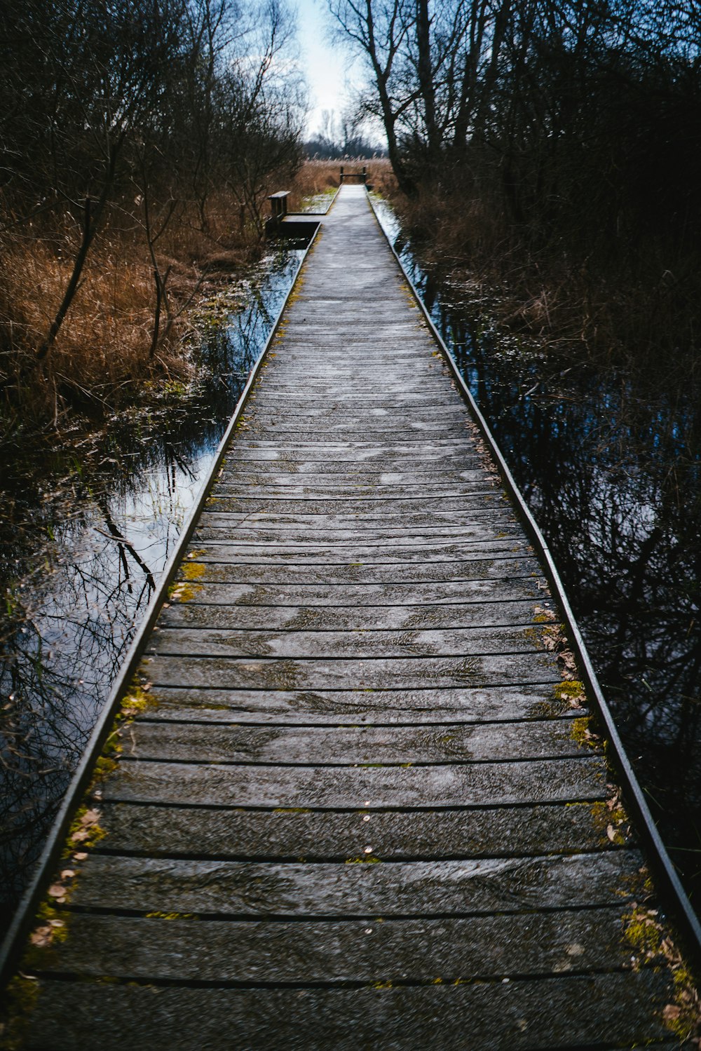 a wooden walkway leading to a body of water