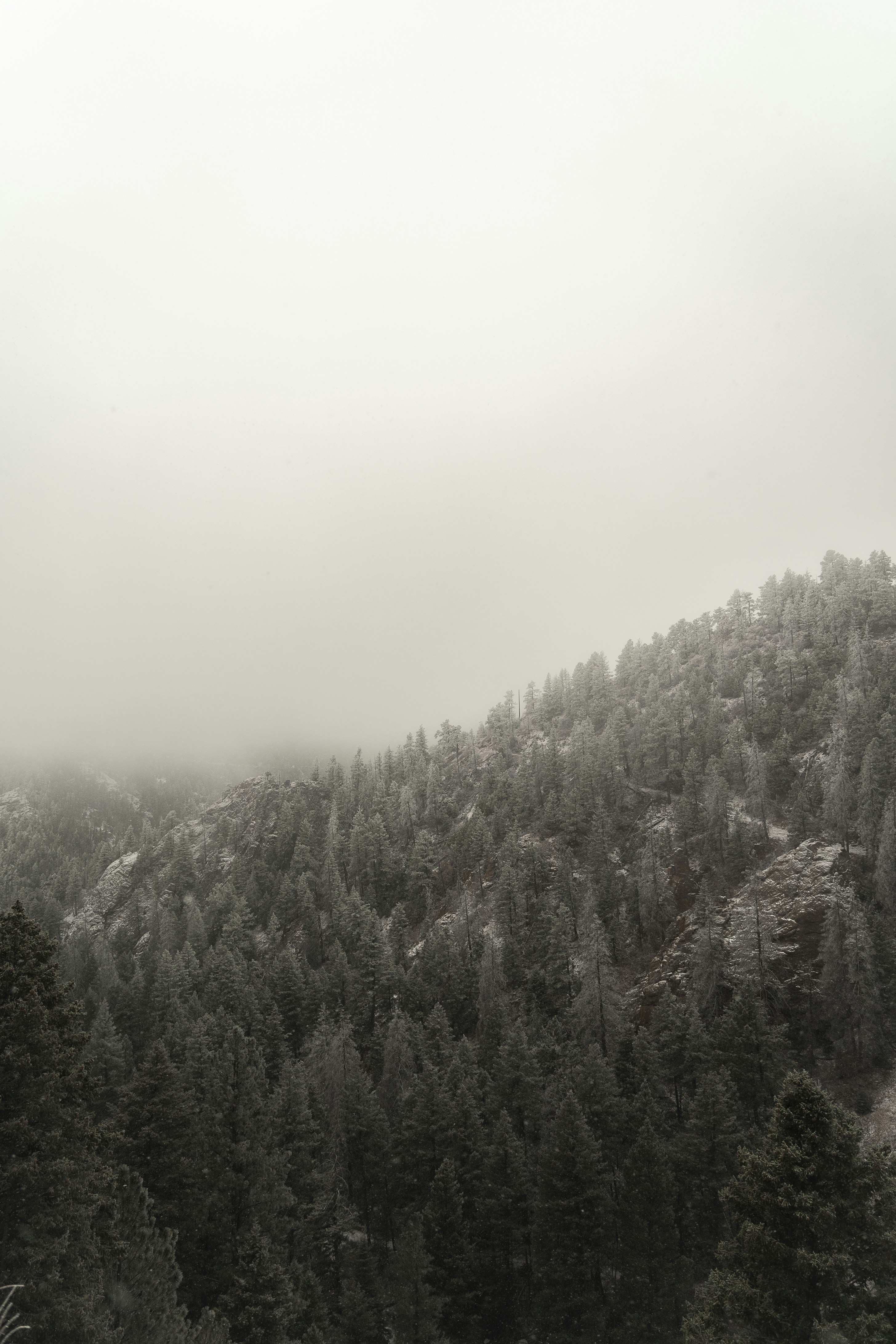 photo-1710177699809-c5ceb6709e8e?ixid=M3wxMjA3fDB8MXxzZWFyY2h8MTJ8fGNvbG9yYWRvJTIwc3ByaW5ncyUyMHNwcmlua2xlciUyMGJsb3dvdXR8ZW58MHx8fHwxNzYzODkyMDQzfDA\u0026ixlib=rb-4.1.0