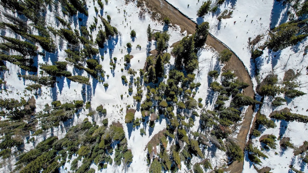 an aerial view of a snow covered forest