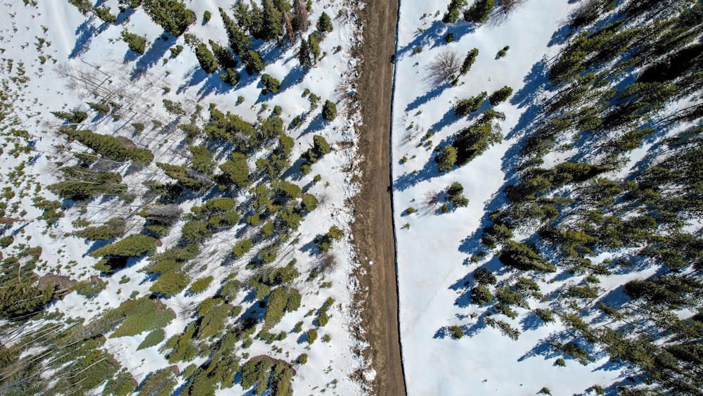 an aerial view of a snow covered forest