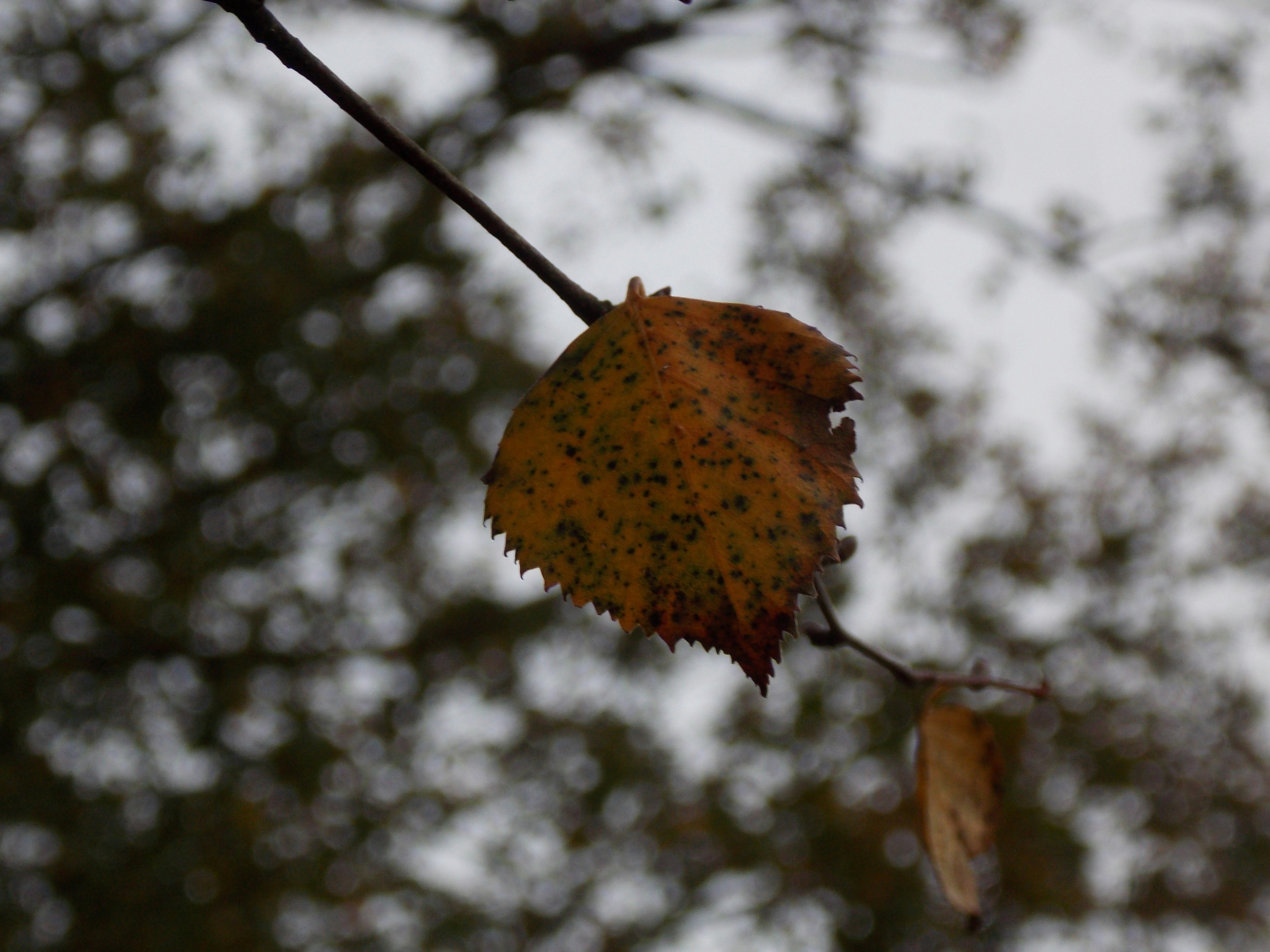 Photo by itskylebrooks