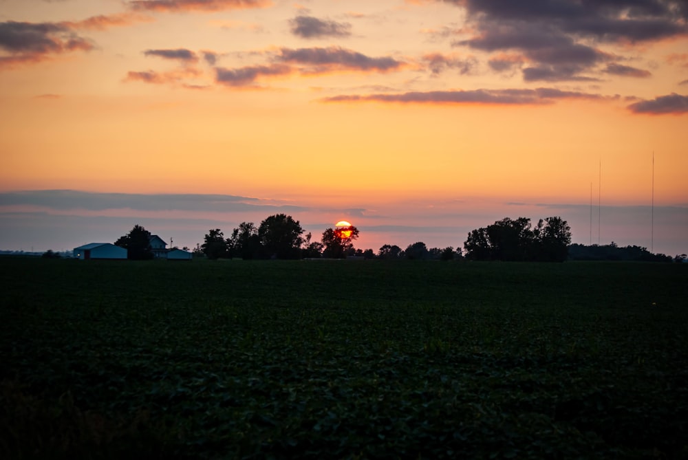 Il sole sta tramontando su un campo di colture