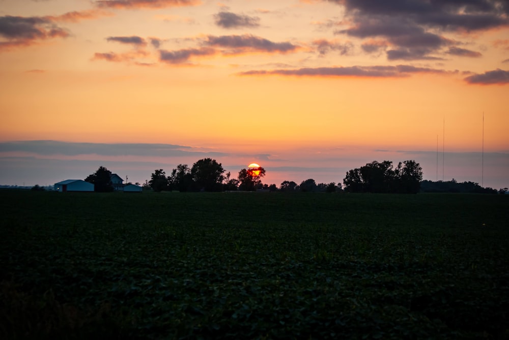 the sun is setting over a field of crops