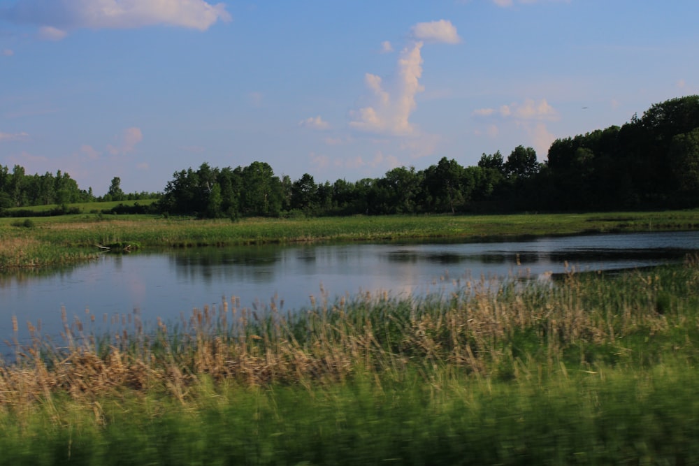 a body of water surrounded by a lush green field