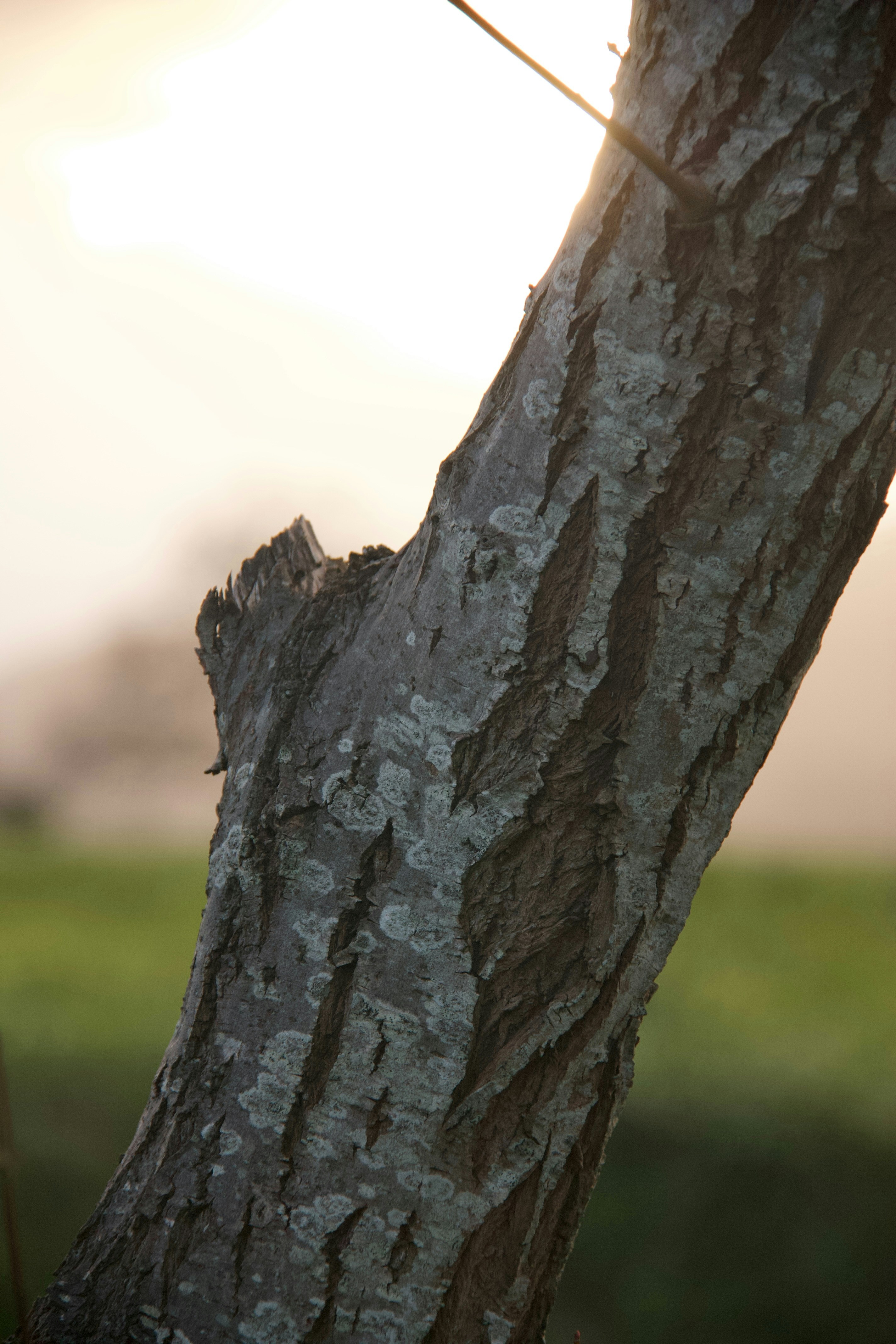 Photo by pablo_saancheezz