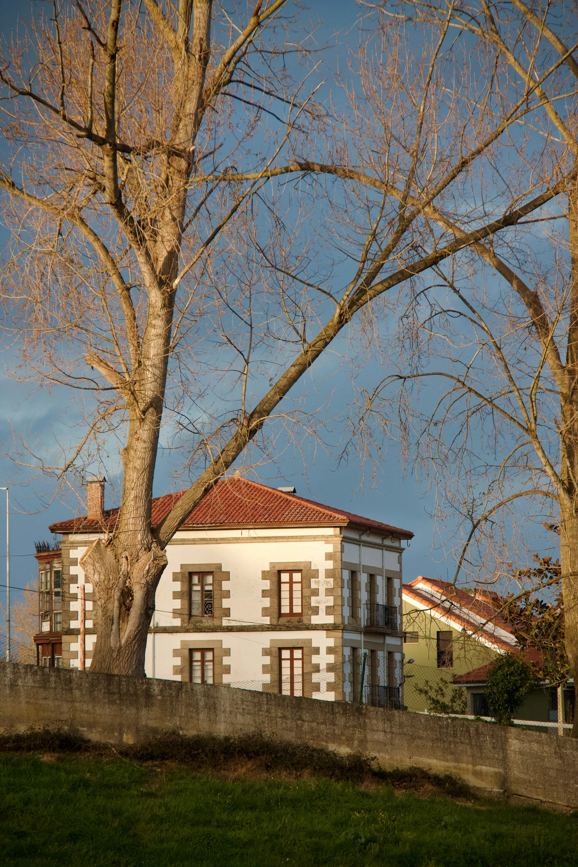 a large white house sitting next to a tree