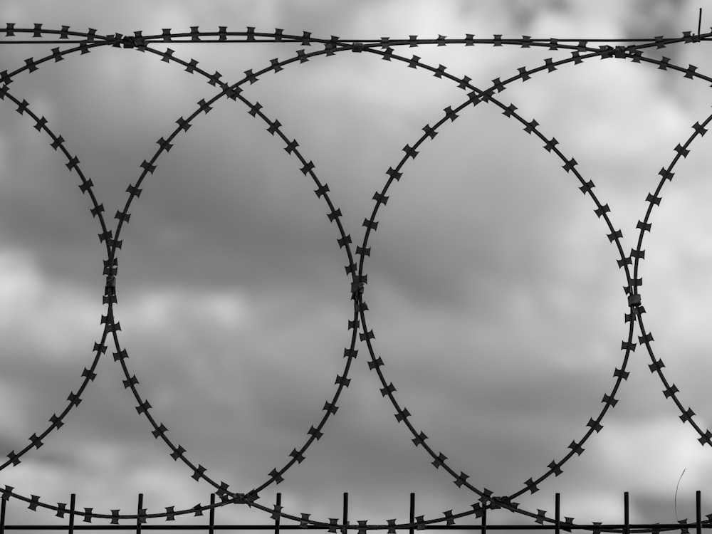 a black and white photo of a barbed wire fence